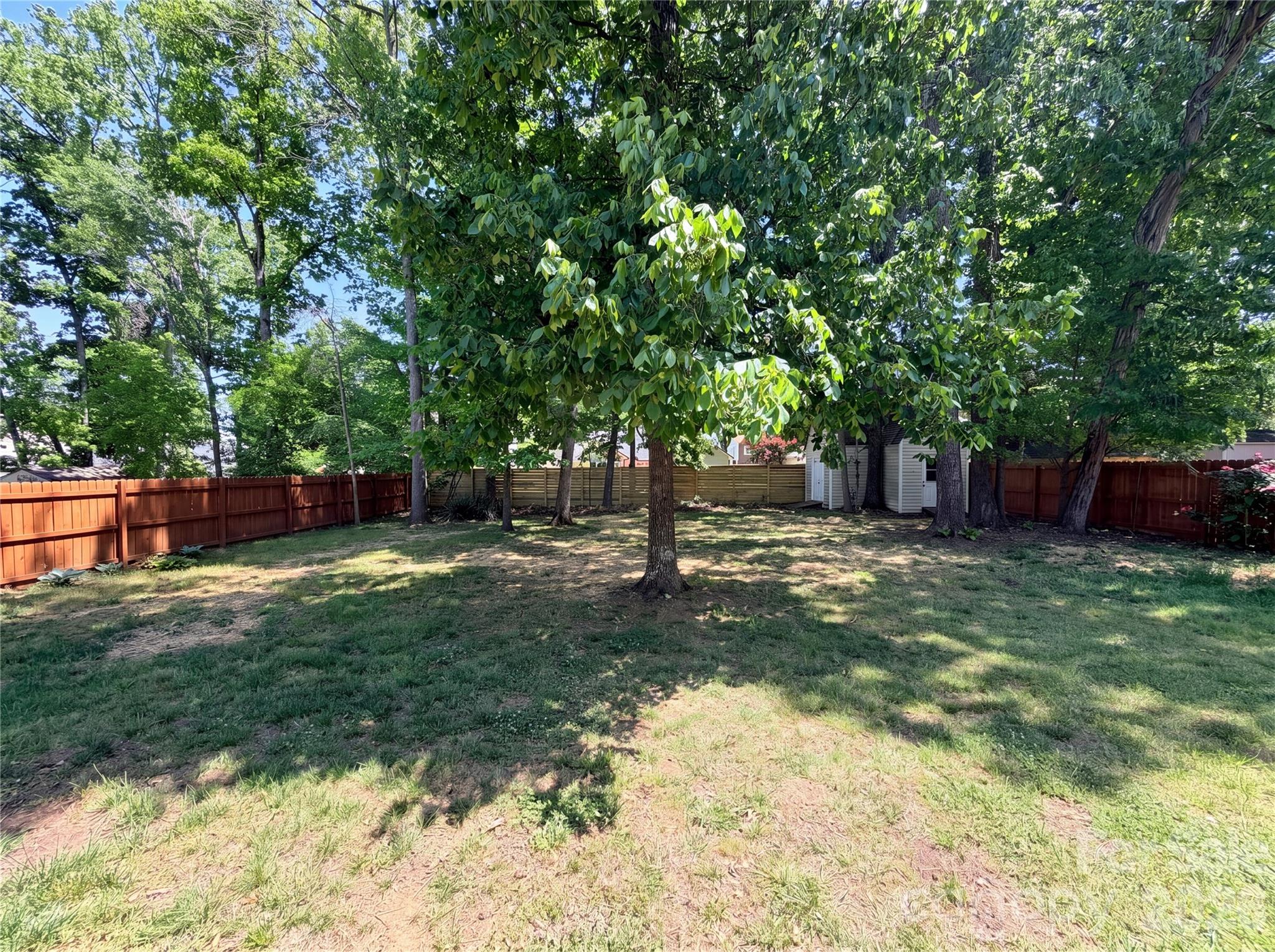 10009 Wild Dogwood Court — Charlotte