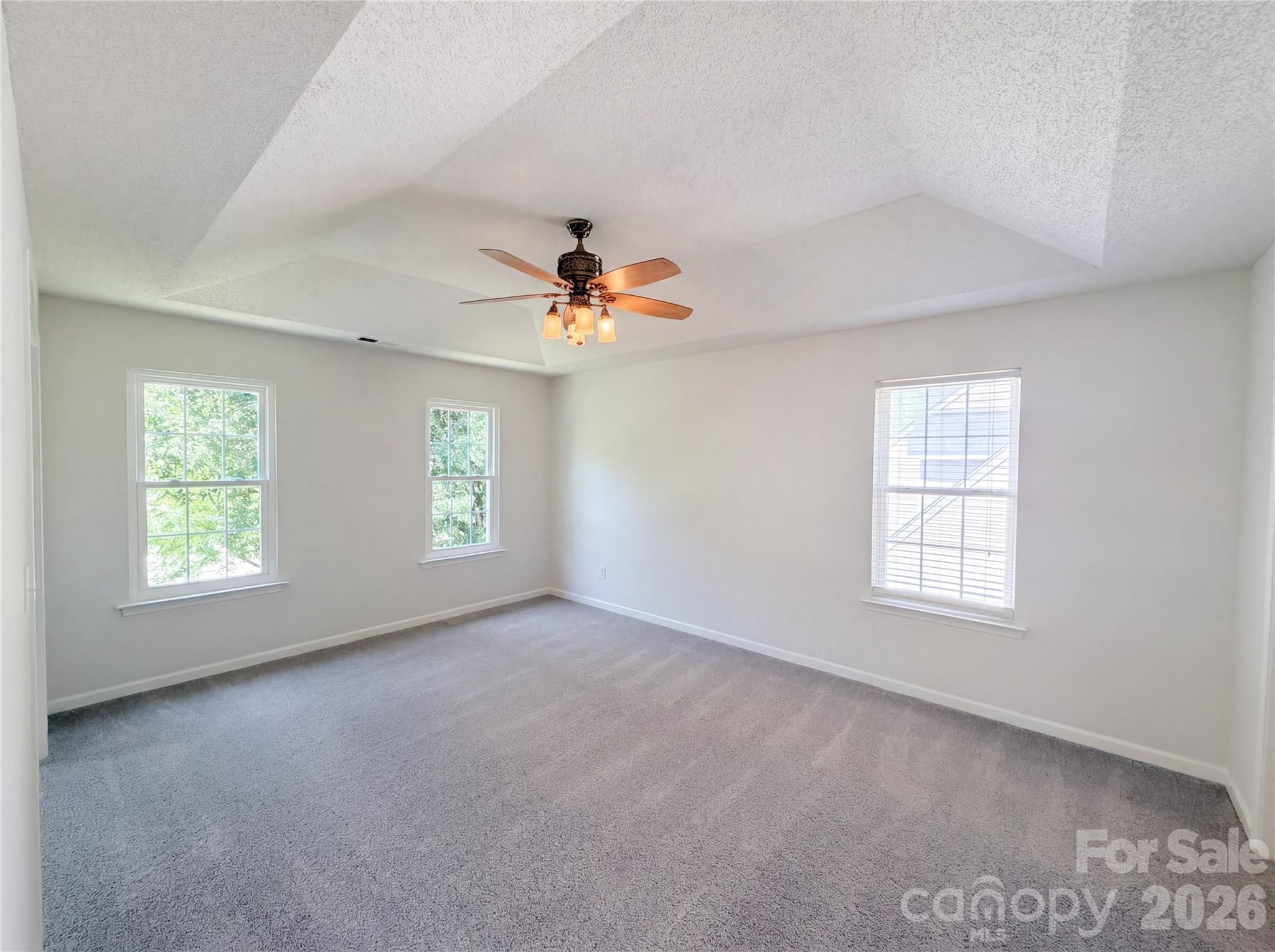 10009 Wild Dogwood Court — Charlotte