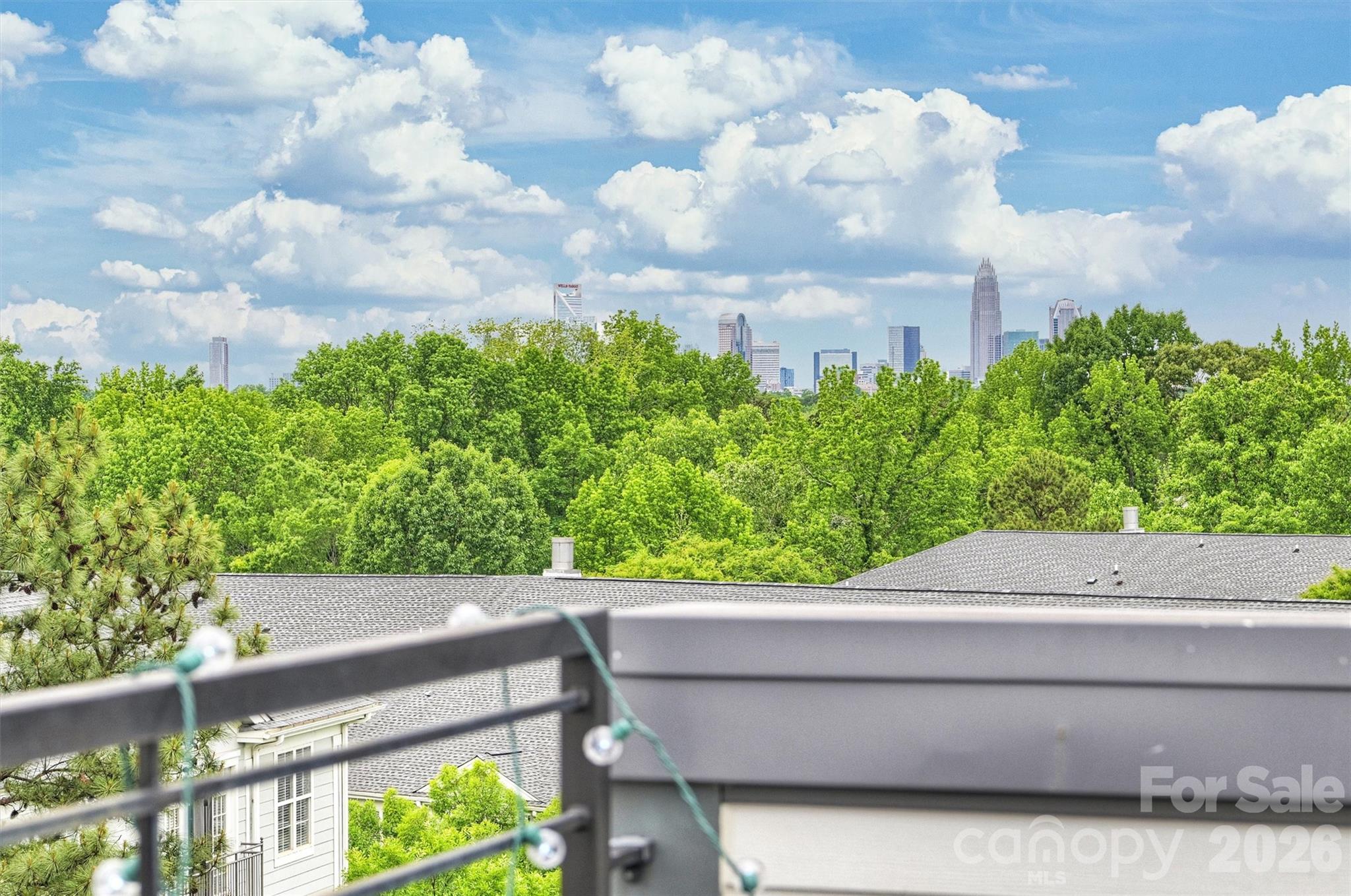 420 Grey Reagan Trail — Charlotte