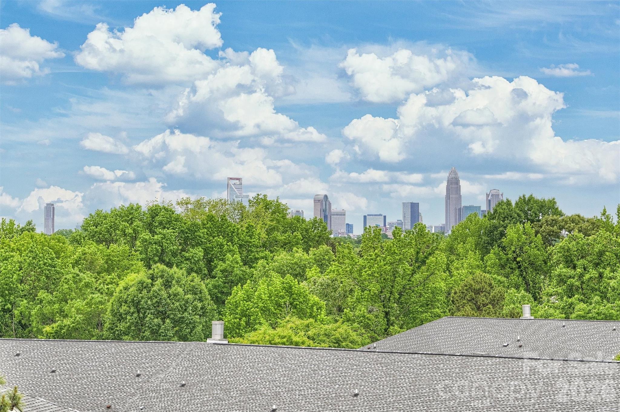 420 Grey Reagan Trail — Charlotte