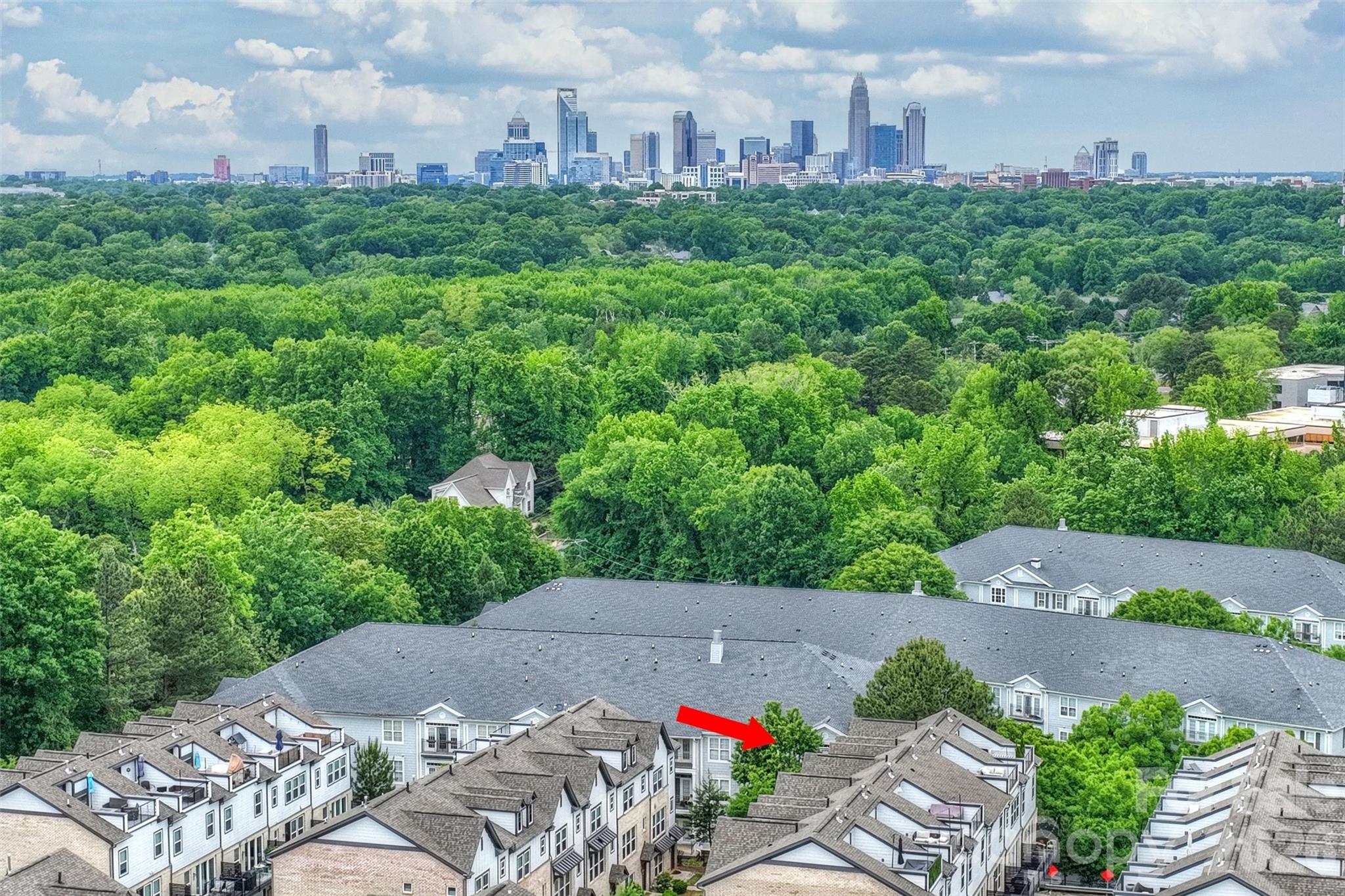 420 Grey Reagan Trail — Charlotte