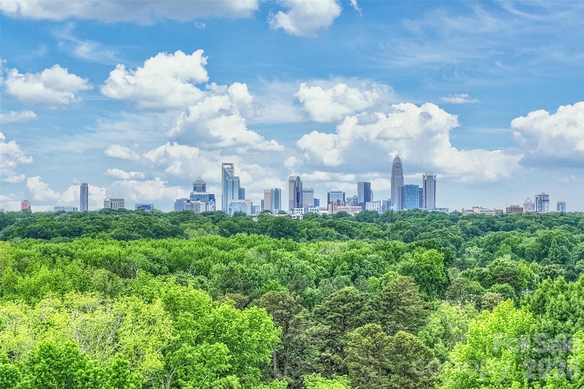 420 Grey Reagan Trail — Charlotte