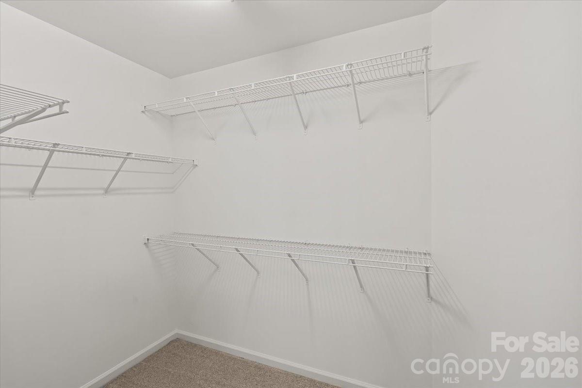 7934 Harbor Ridge Court — Denver