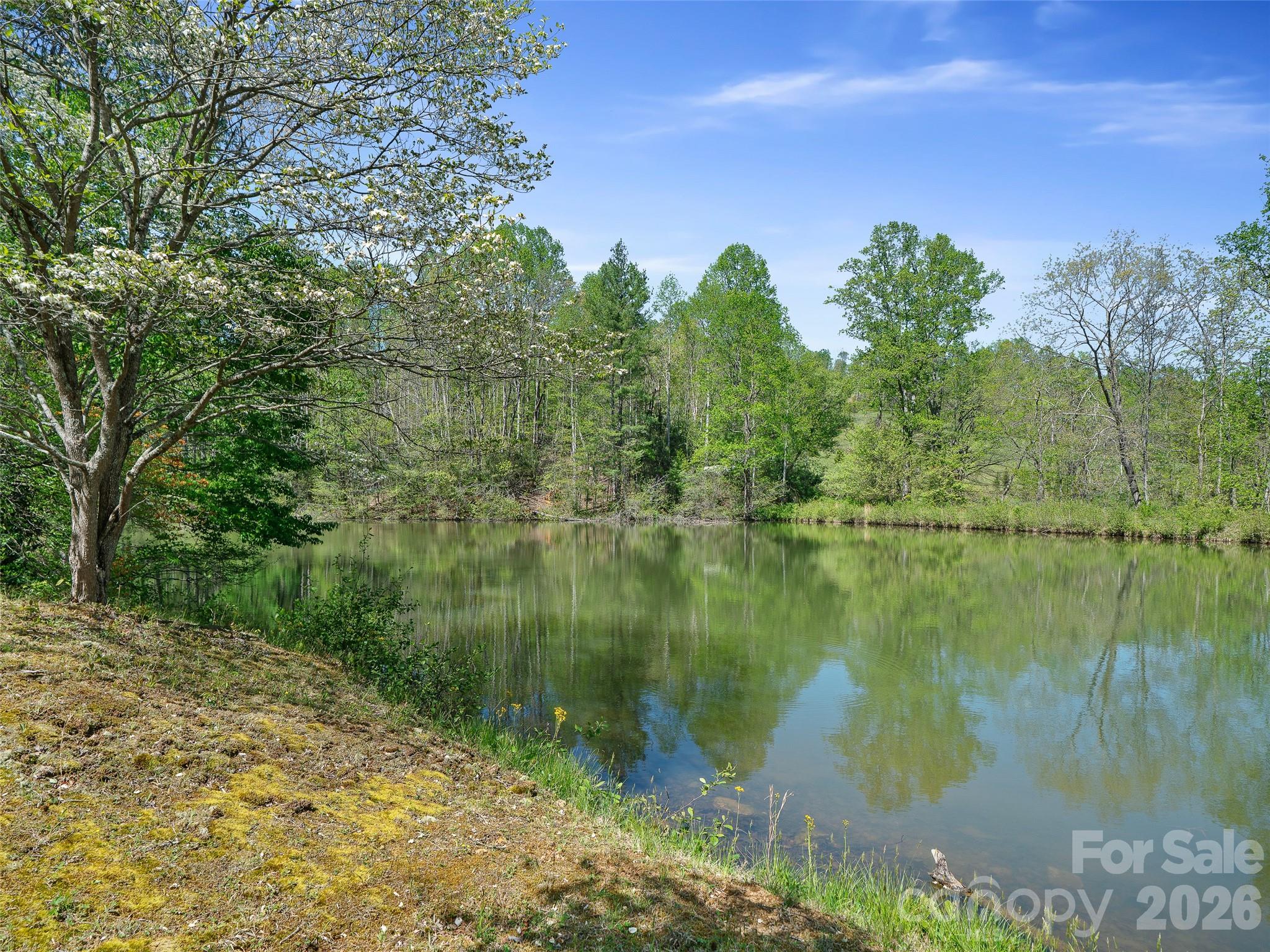 376 Hoot Owl Road — Spruce Pine