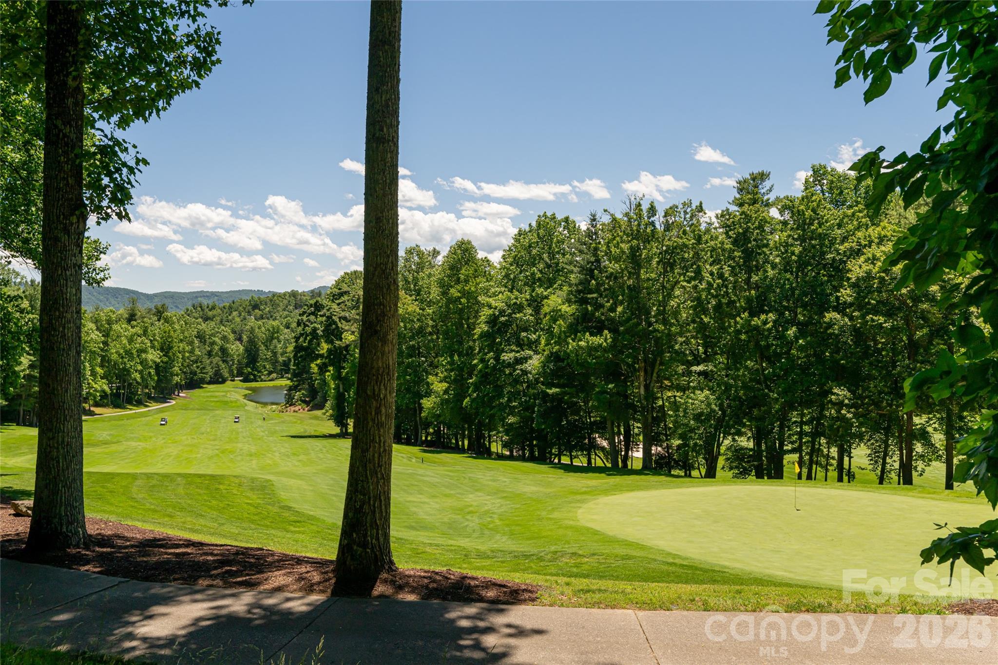 109 Little Cherokee Ridge — Hendersonville