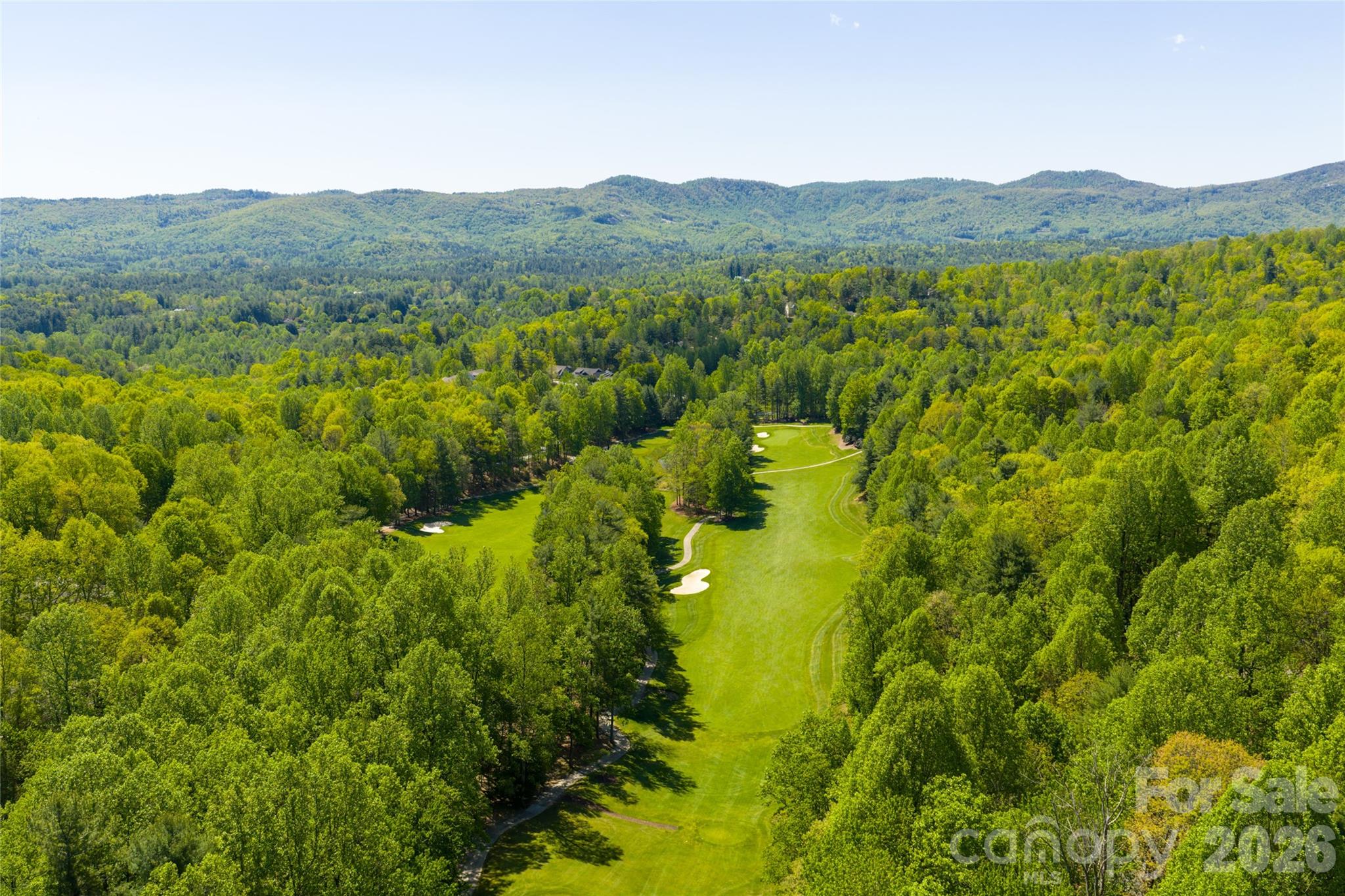 109 Little Cherokee Ridge — Hendersonville
