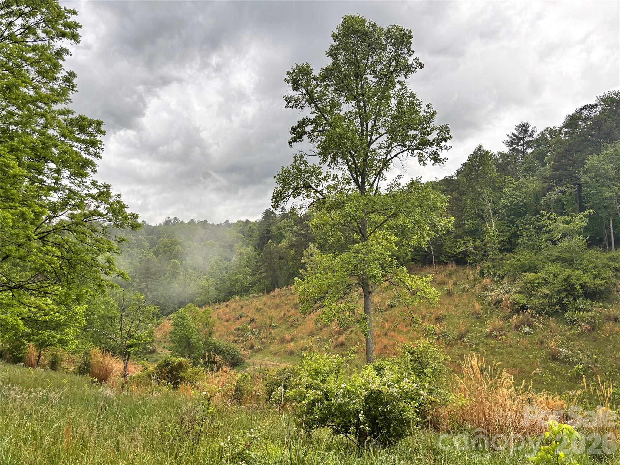191 Posey Griffin Drive — Mars Hill