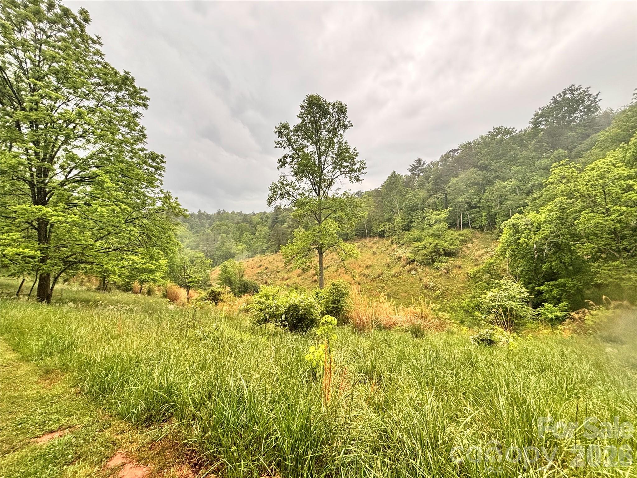 191 Posey Griffin Drive — Mars Hill