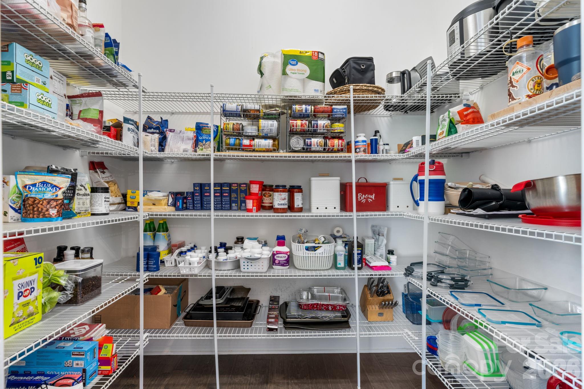1013 Torrens Drive — Wesley Chapel