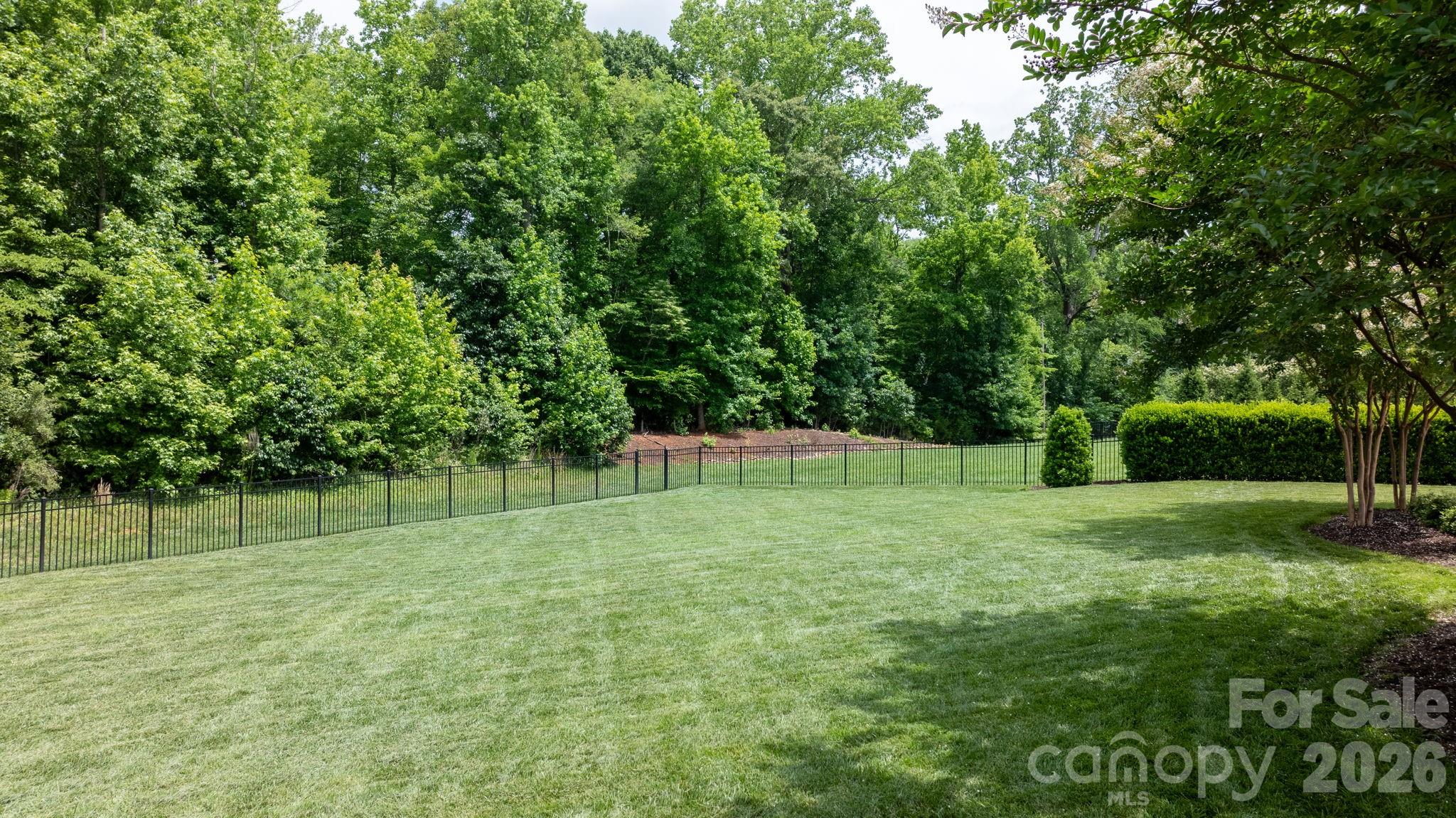 1013 Torrens Drive — Wesley Chapel