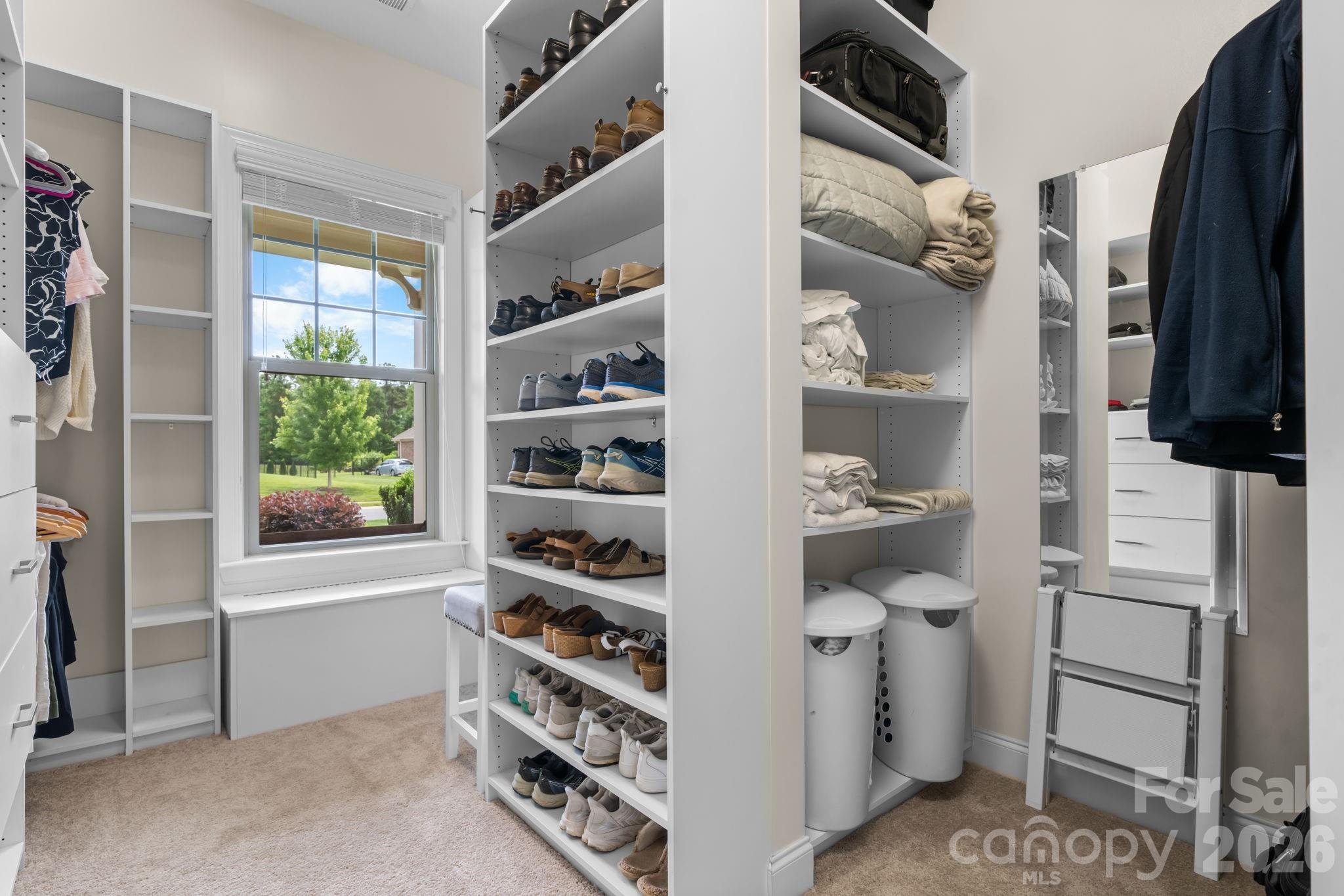 1013 Torrens Drive — Wesley Chapel