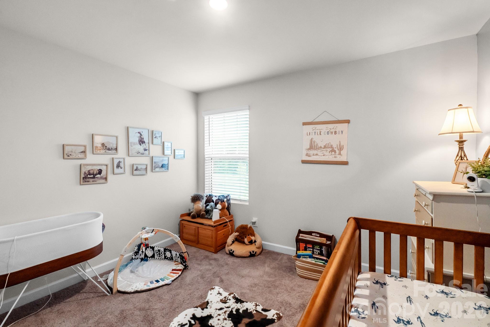 1006 Jeffery Dean Court — Albemarle