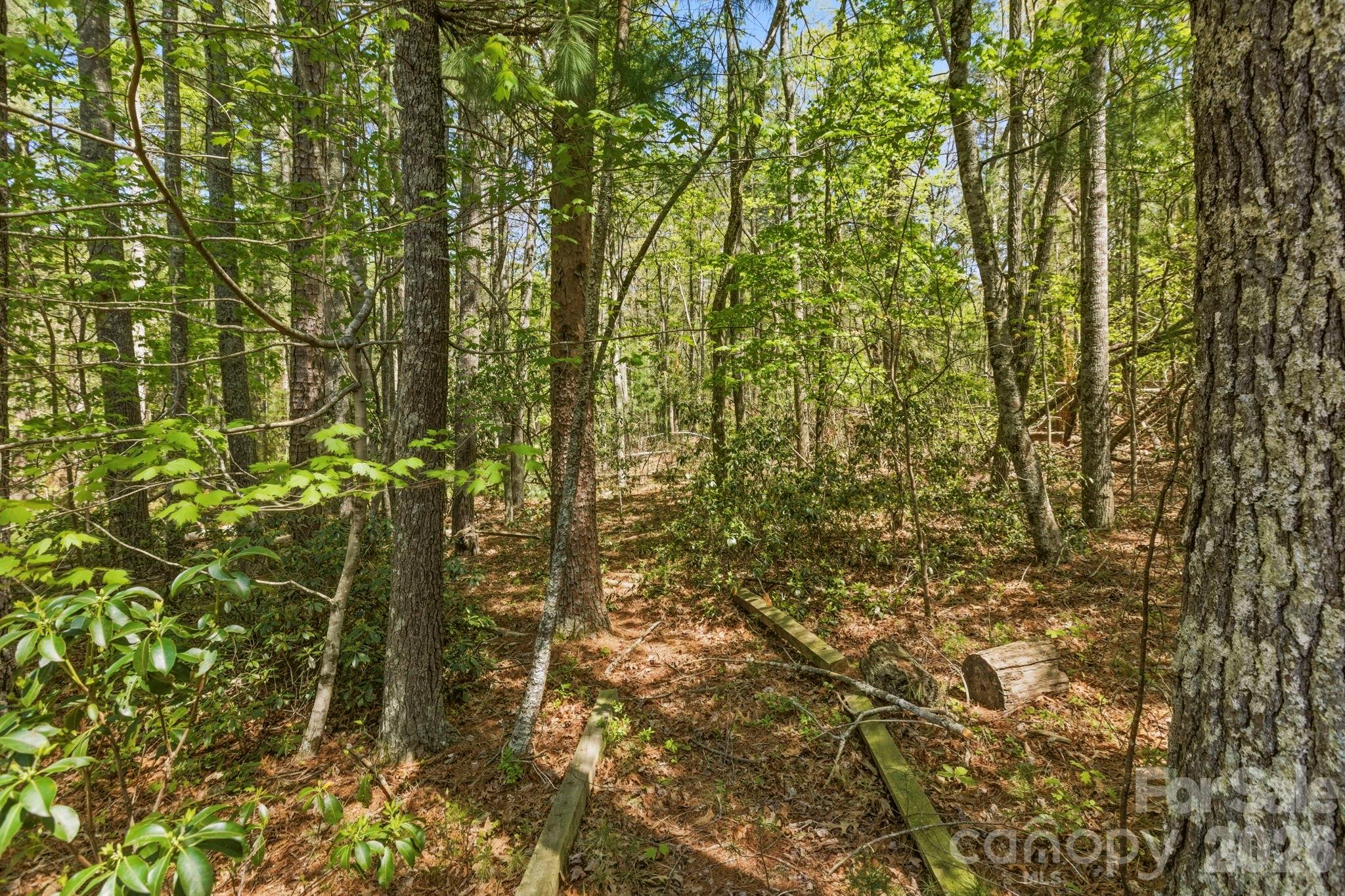 31 Ashbrook Meadows — Fletcher