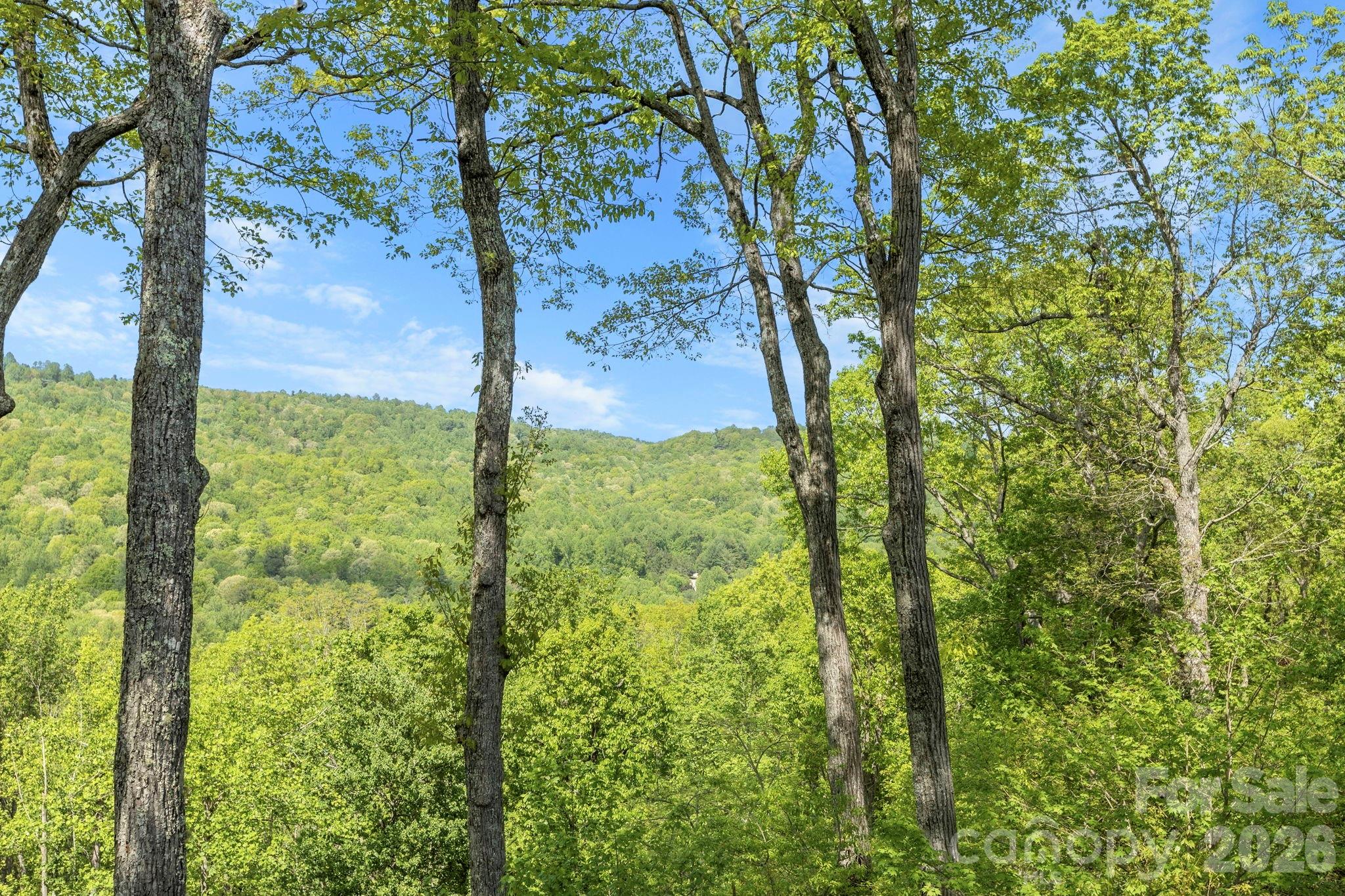 8 Spring Ridge Lane — Hendersonville