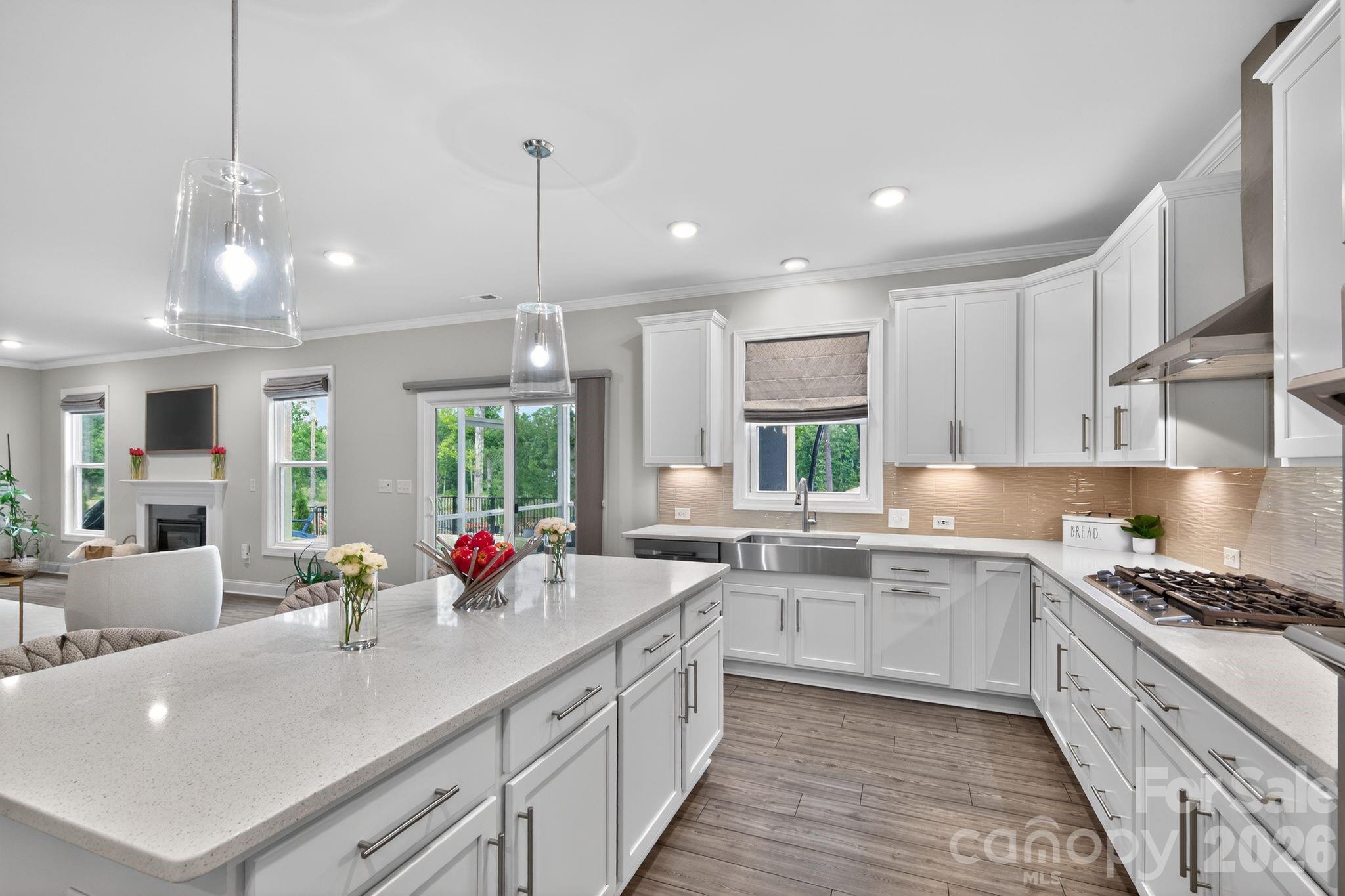 1127 Ashe Meadow Drive — Indian Trail