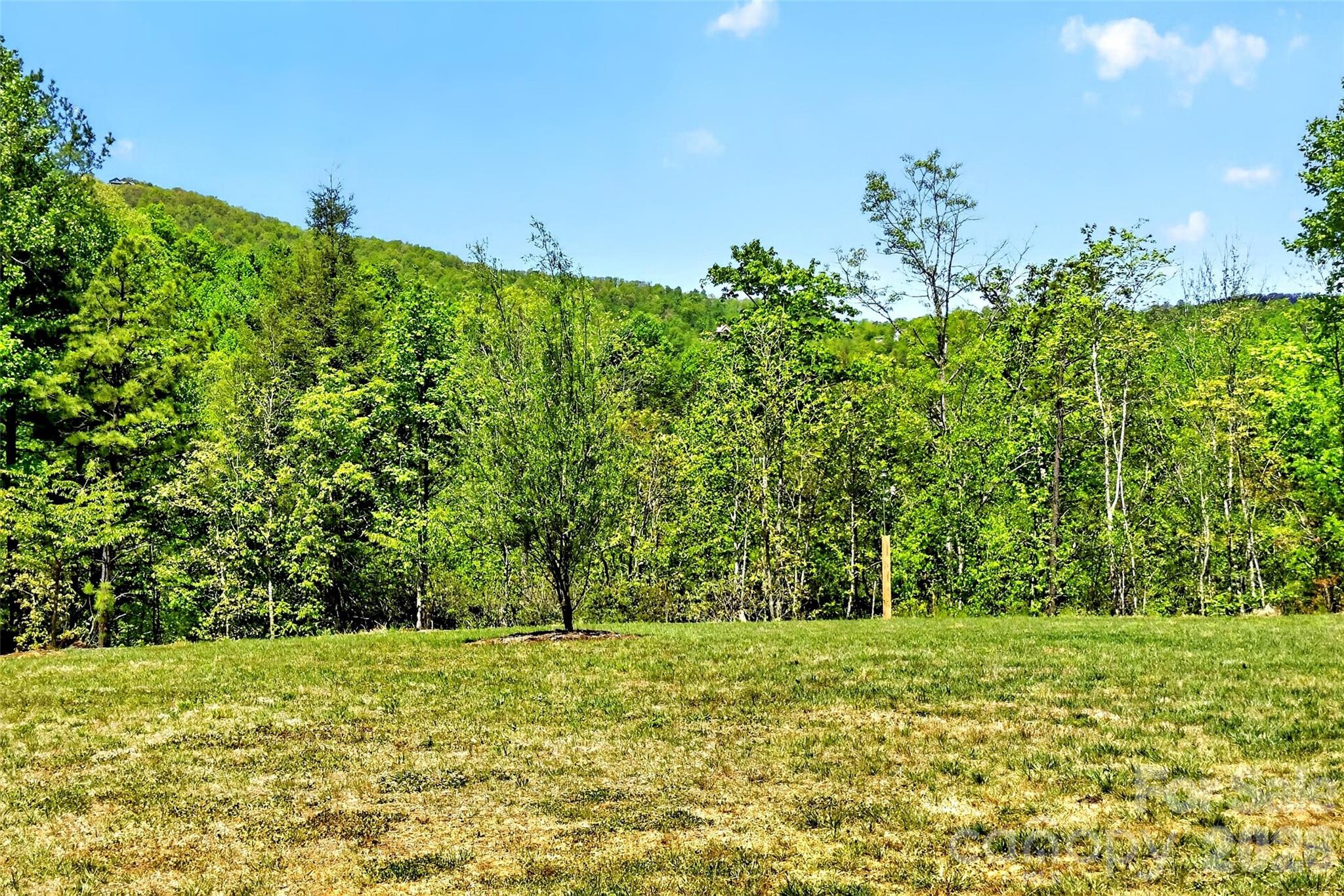 50 Glass Falls Trail #143,144 — Black Mountain