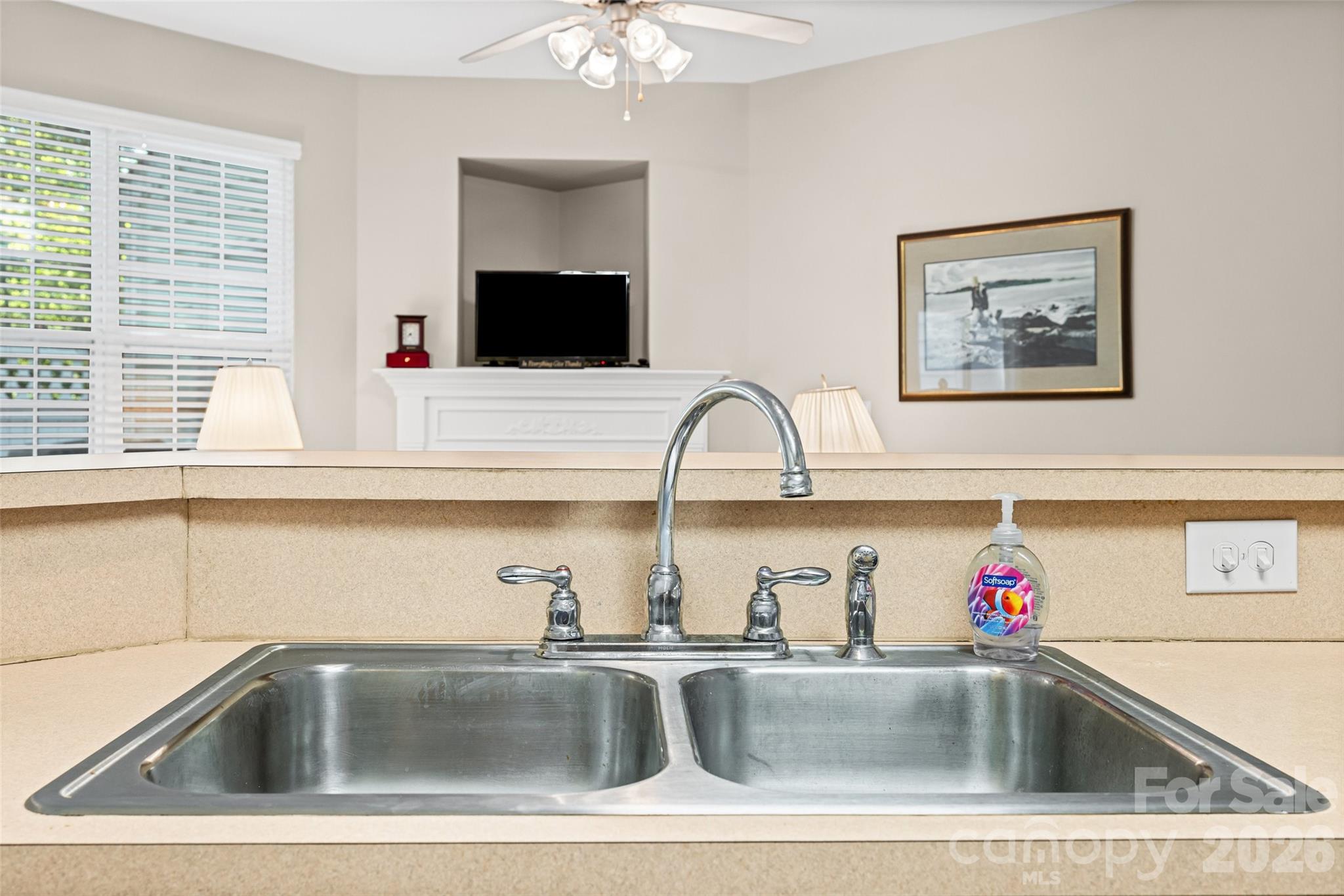 932 Coffee Tree Lane — Rock Hill