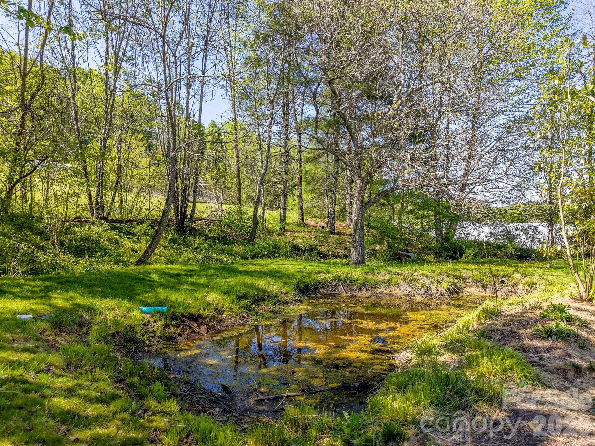 160 Canter Lane — Sylva
