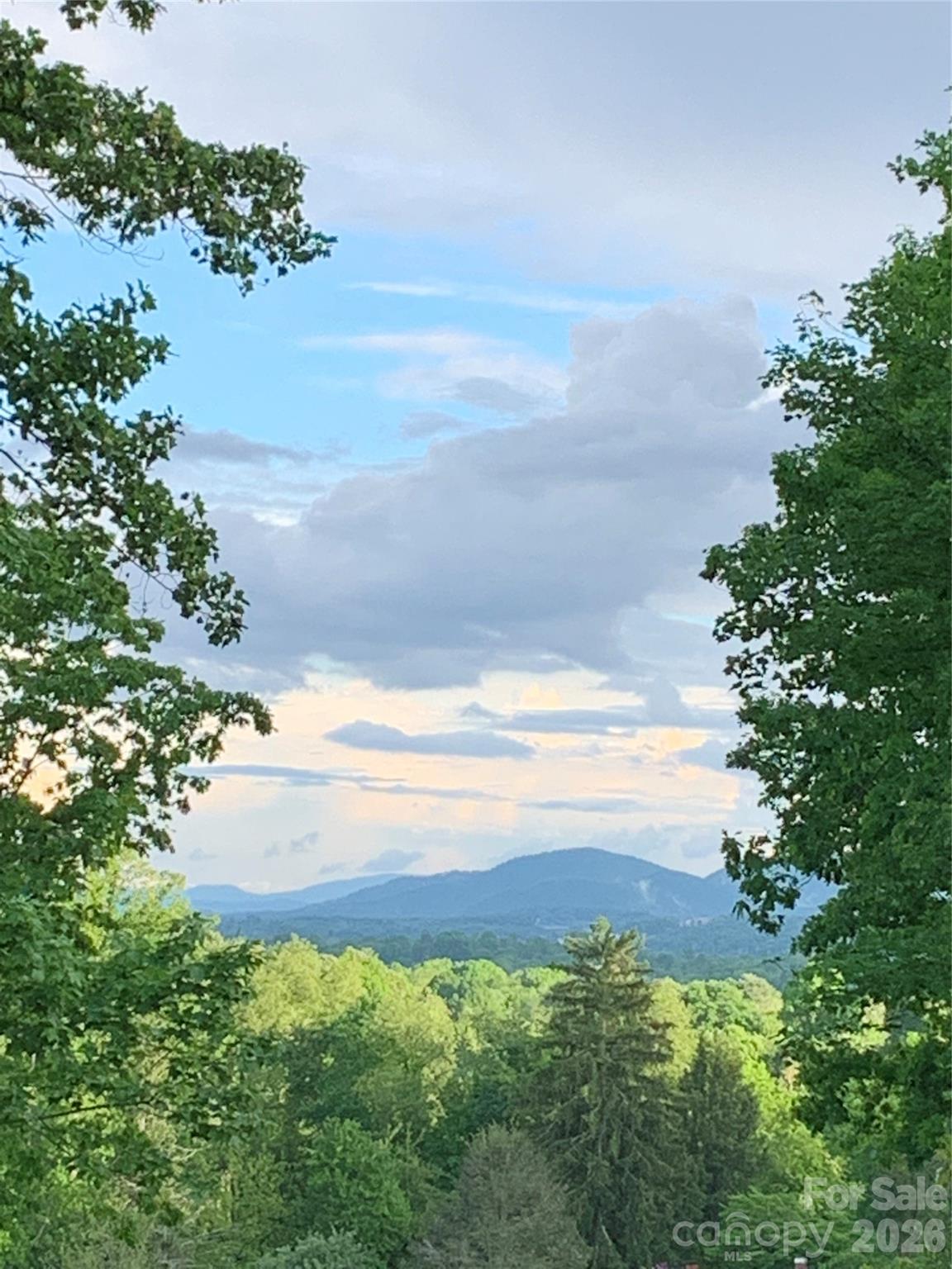 24 Acadia Drive — Asheville