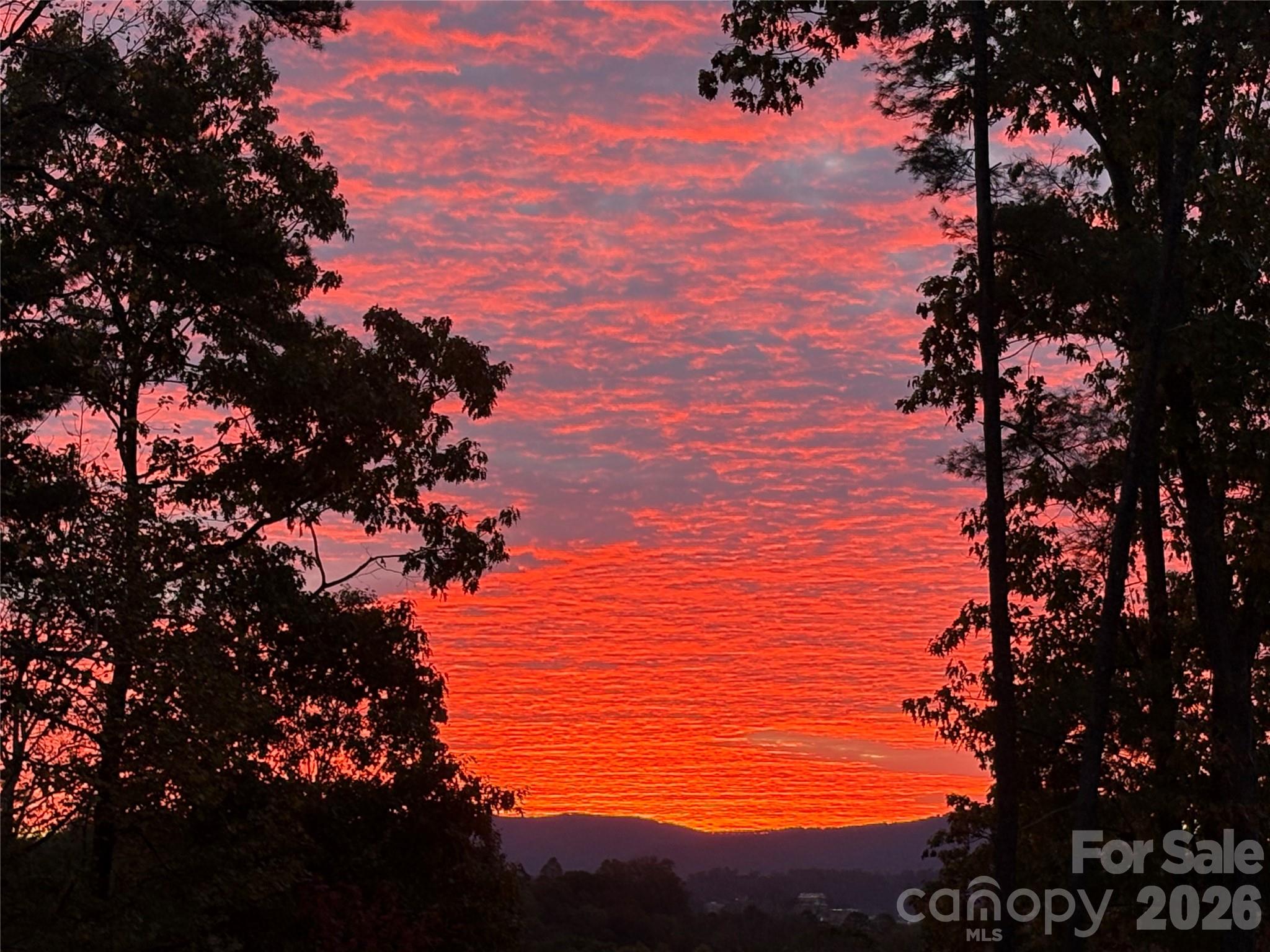 24 Acadia Drive — Asheville