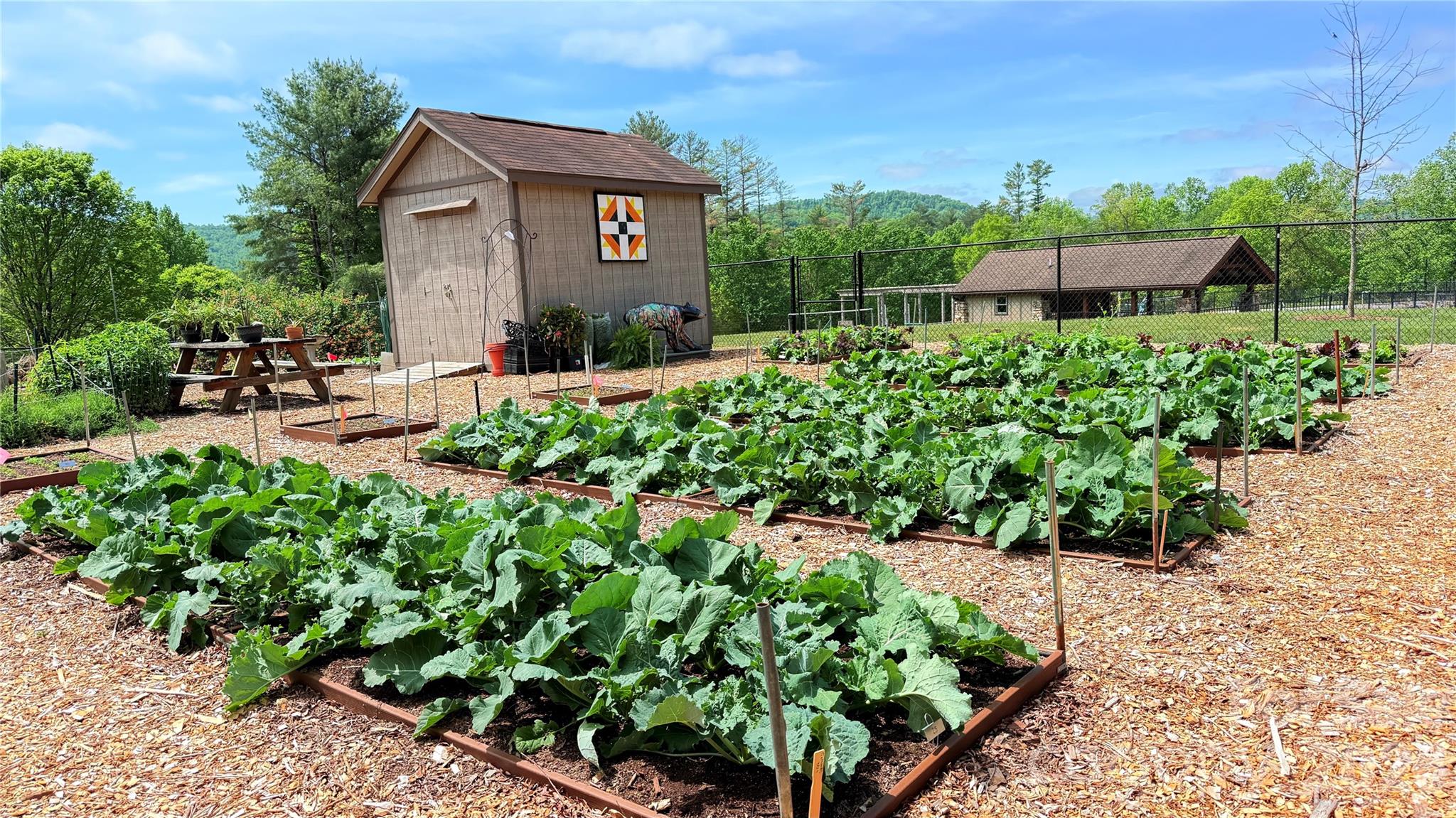 3509 Mountain Top Way — Hendersonville