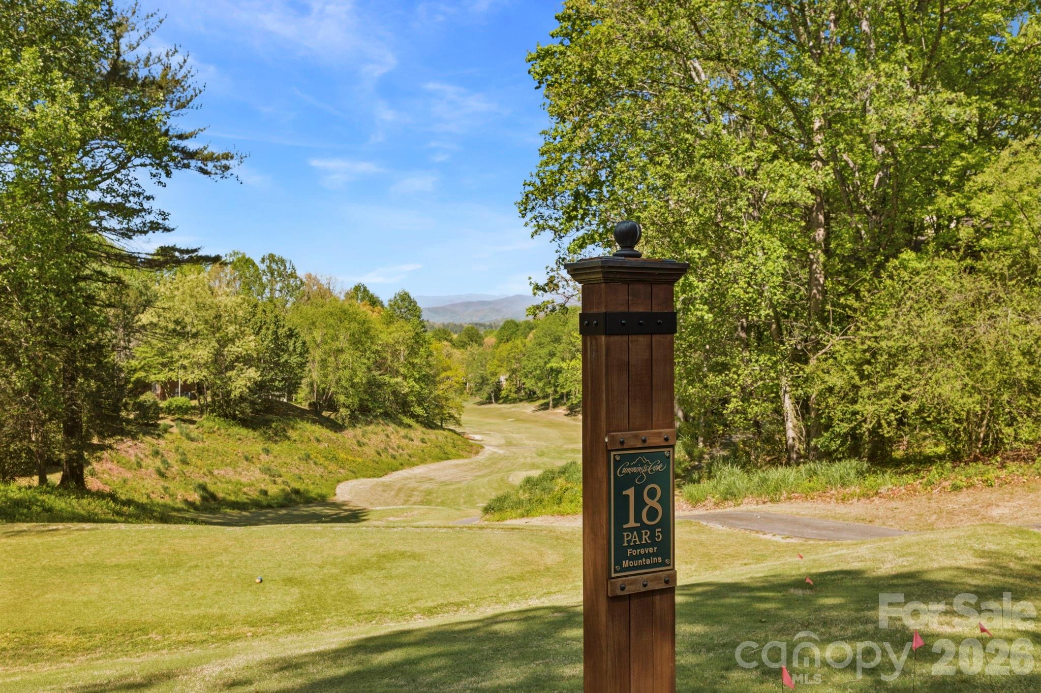 3509 Mountain Top Way — Hendersonville