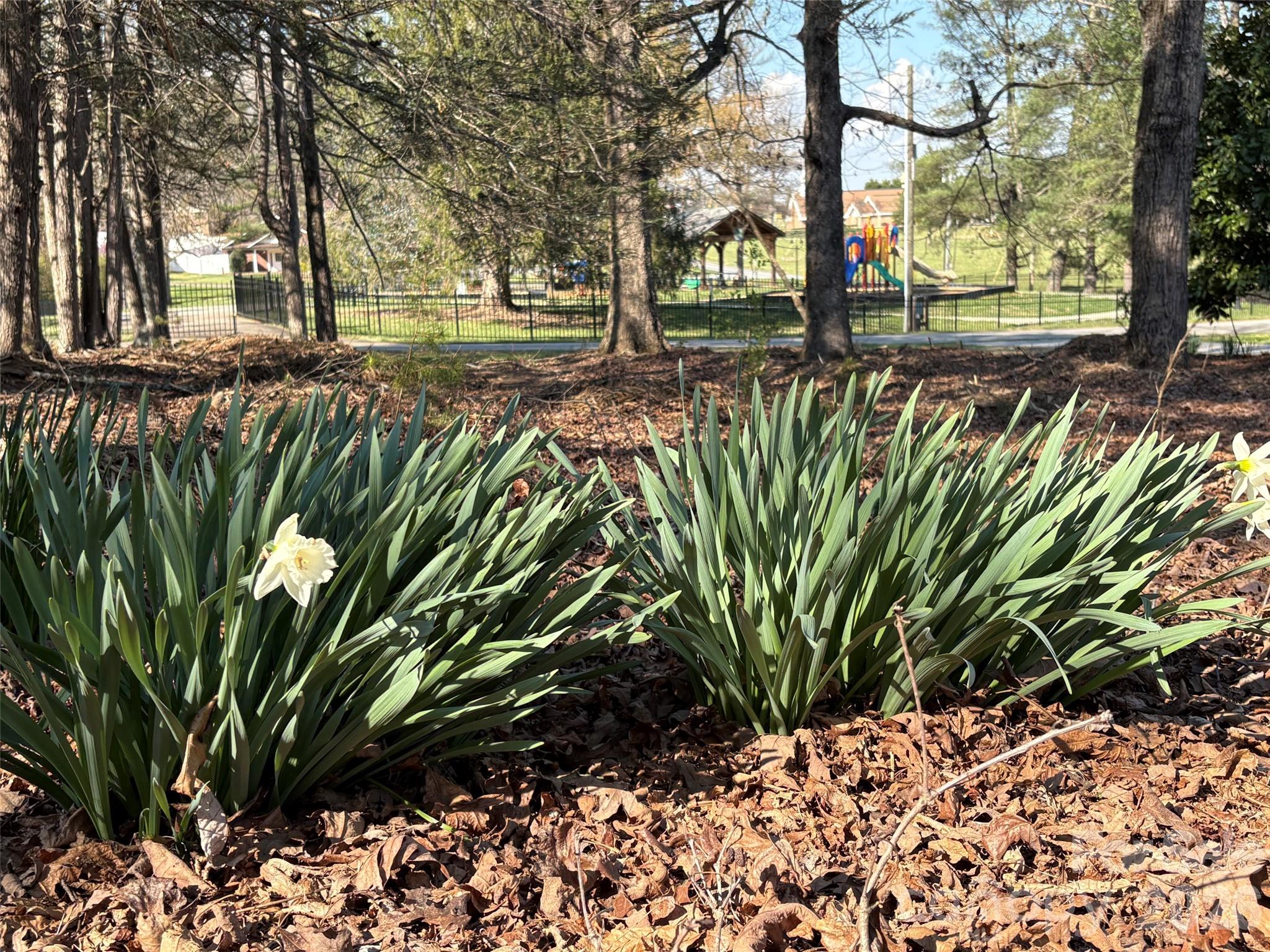 1820 Connelly Springs Road — Lenoir