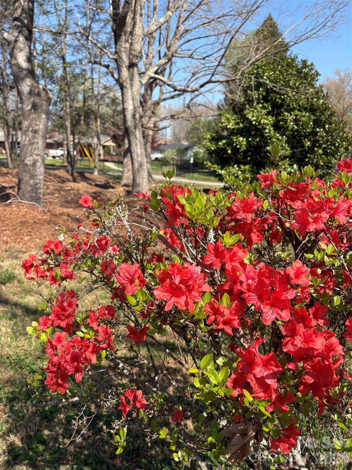 1820 Connelly Springs Road — Lenoir