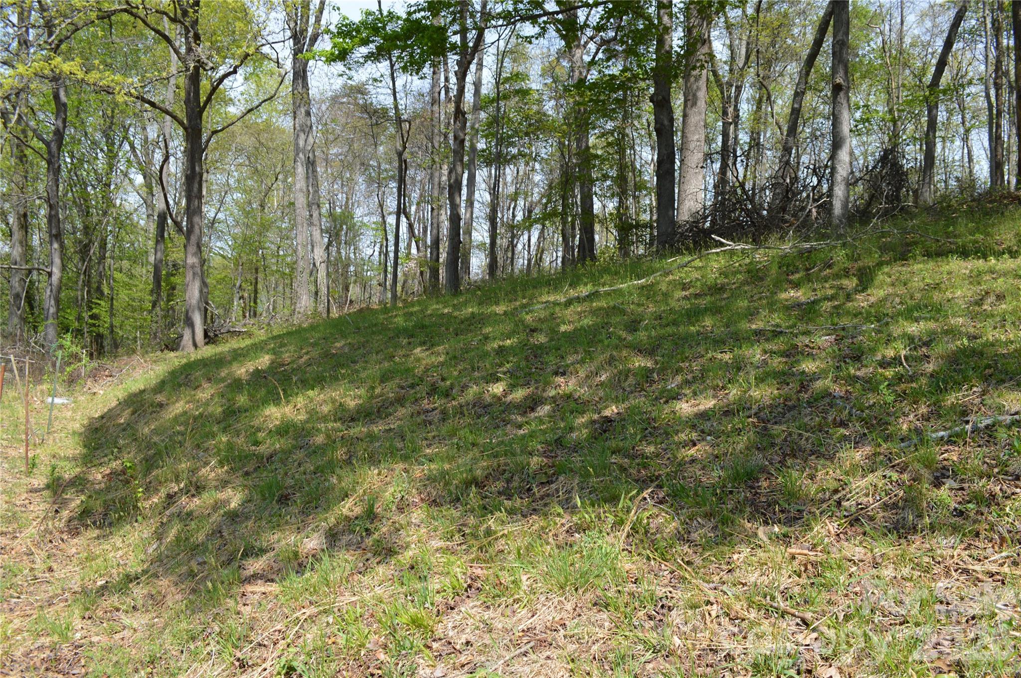 191 Flat Rock Hill Road — Tryon