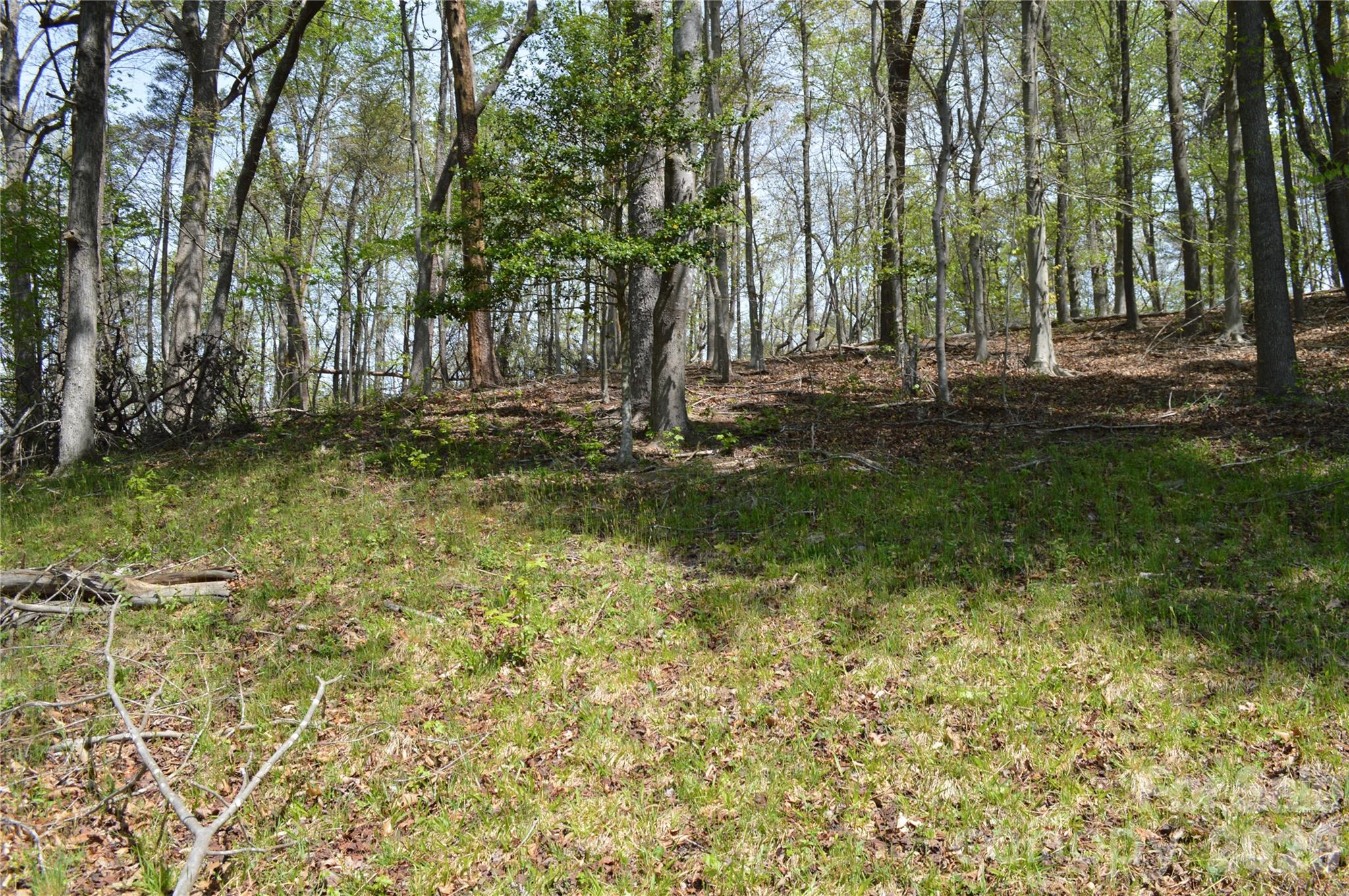 191 Flat Rock Hill Road — Tryon
