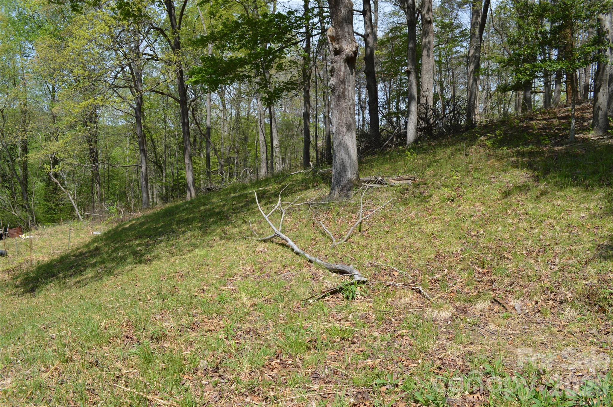 191 Flat Rock Hill Road — Tryon