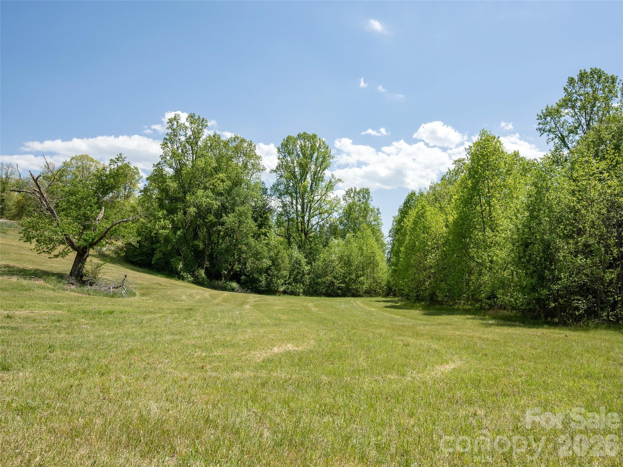 154 High Pasture Trail — Mills River