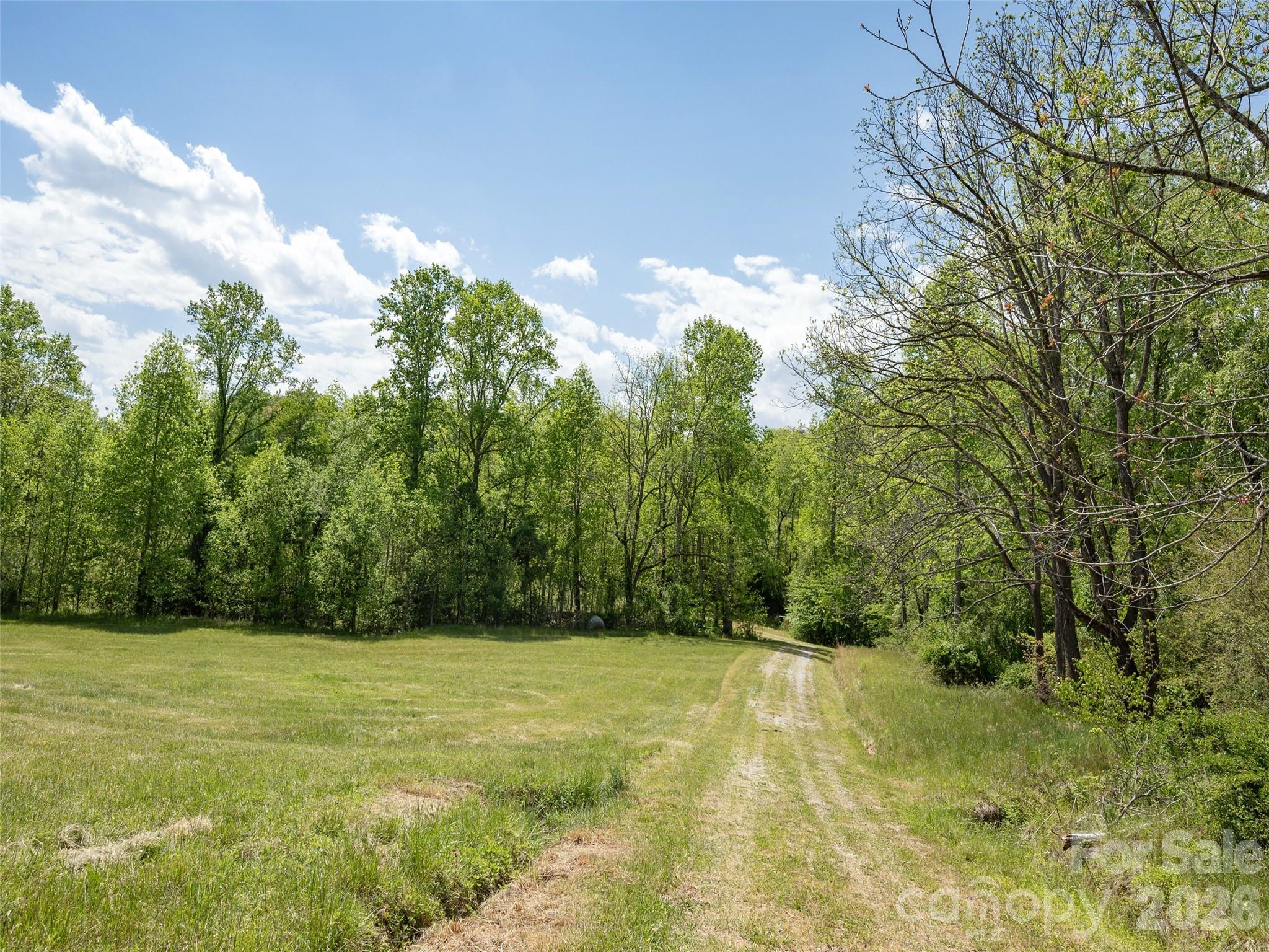 154 High Pasture Trail — Mills River