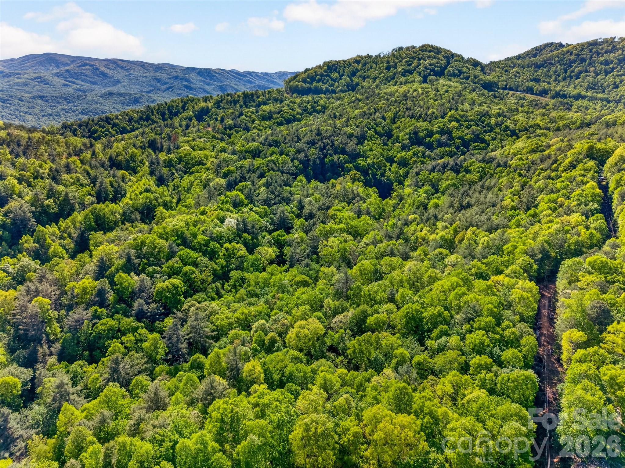 451 Signal Tree Road — Deep Gap