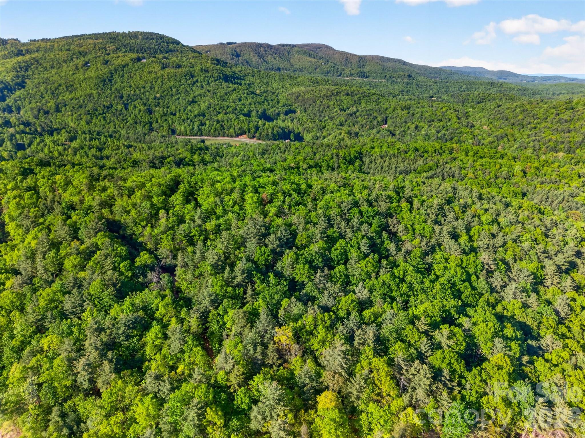 451 Signal Tree Road — Deep Gap