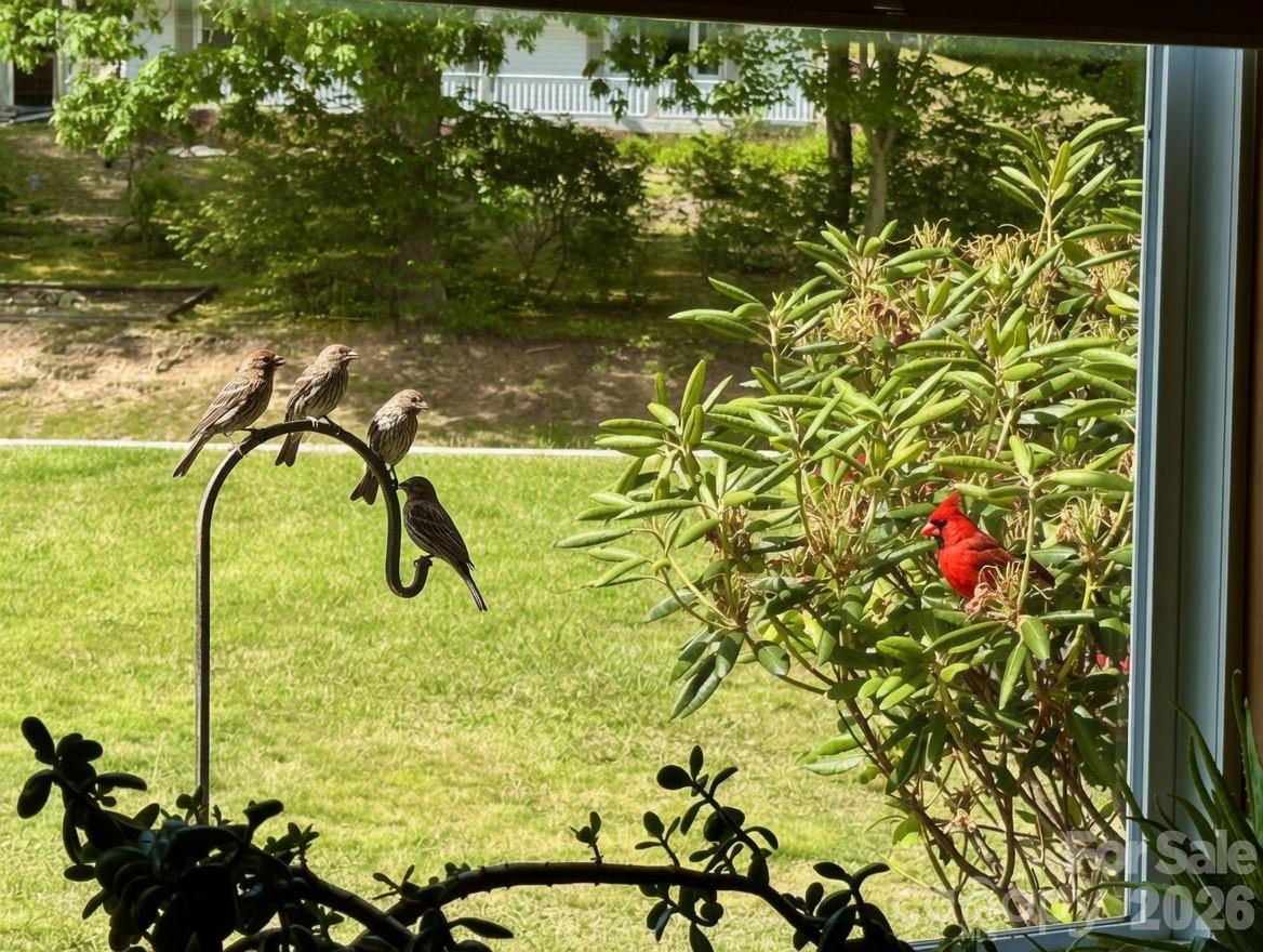 580 Russ Norris Heaton Road — Elk Park