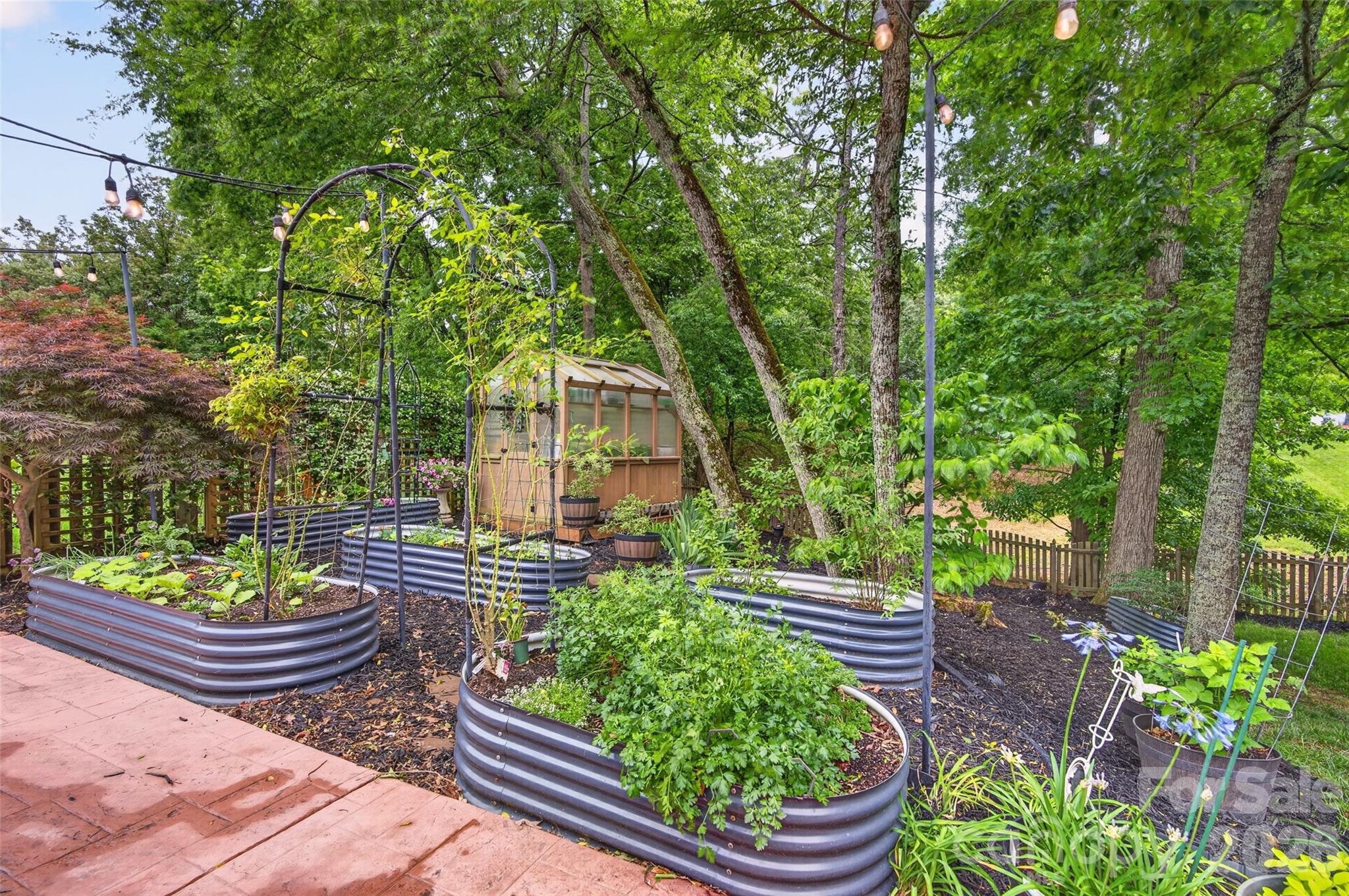 10502 Hellebore Road — Charlotte