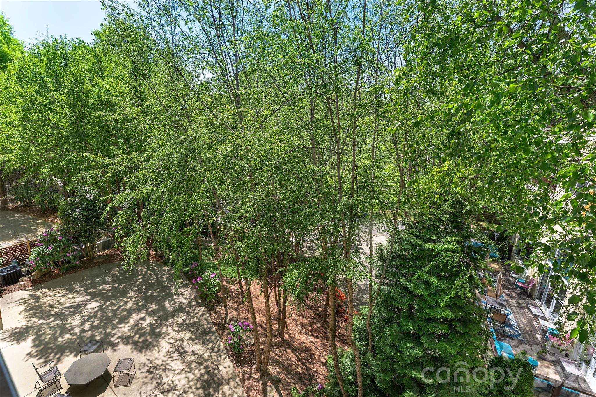 155 S Lexington Avenue #B408 — Asheville
