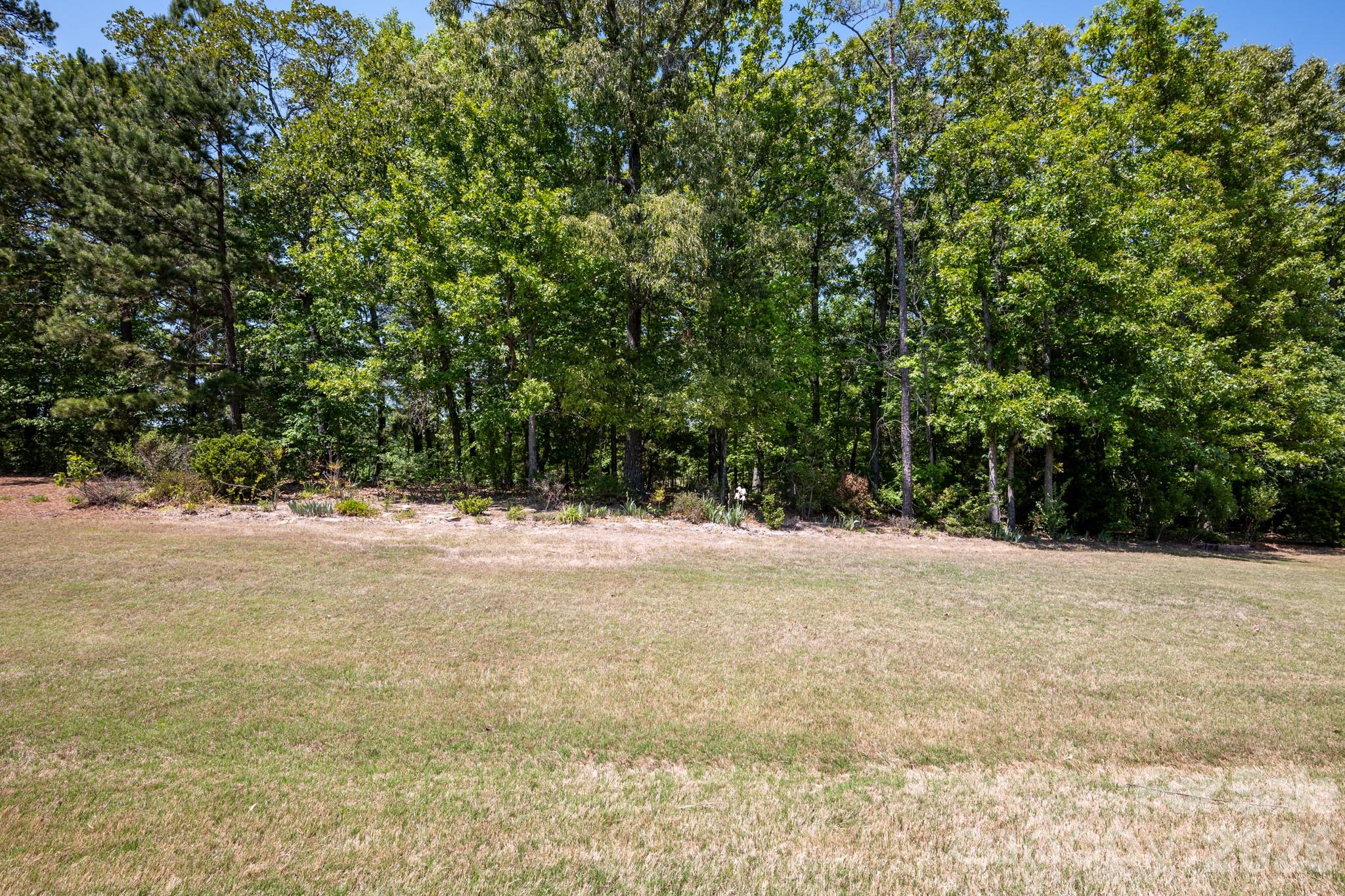 2818 Mandarin Street — Fort Mill