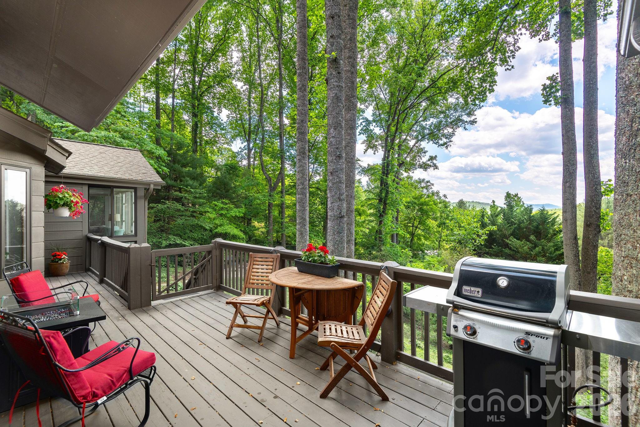 107 Buffalo Trail — Asheville