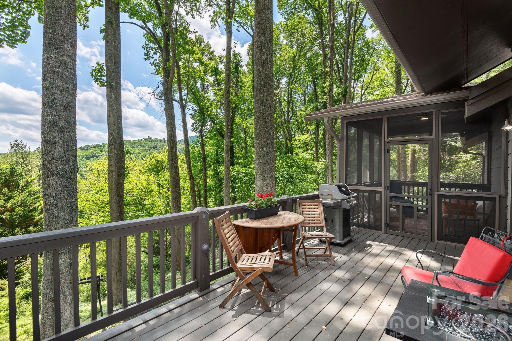 107 Buffalo Trail — Asheville