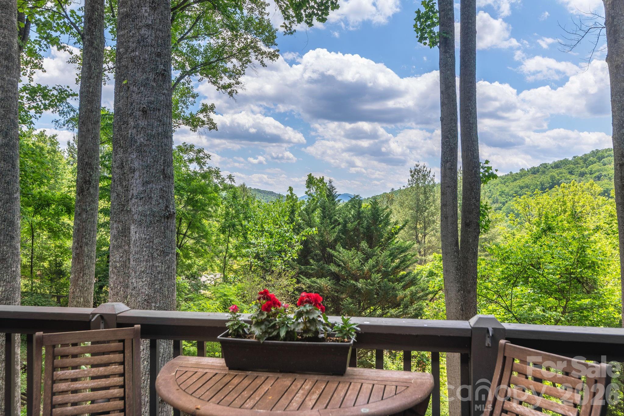 107 Buffalo Trail — Asheville