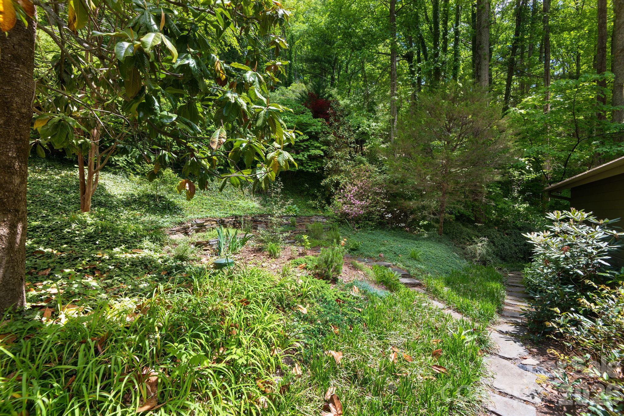 107 Buffalo Trail — Asheville