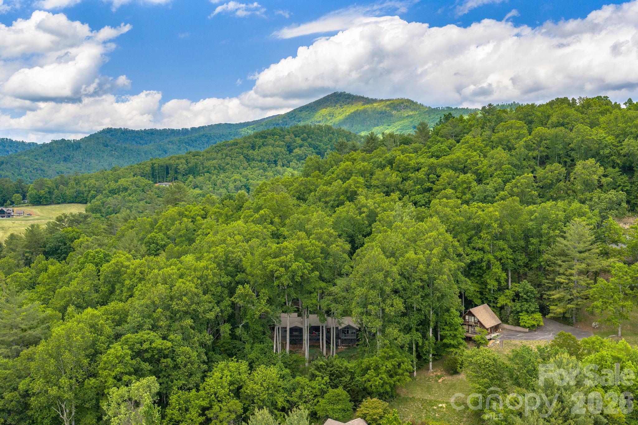 107 Buffalo Trail — Asheville