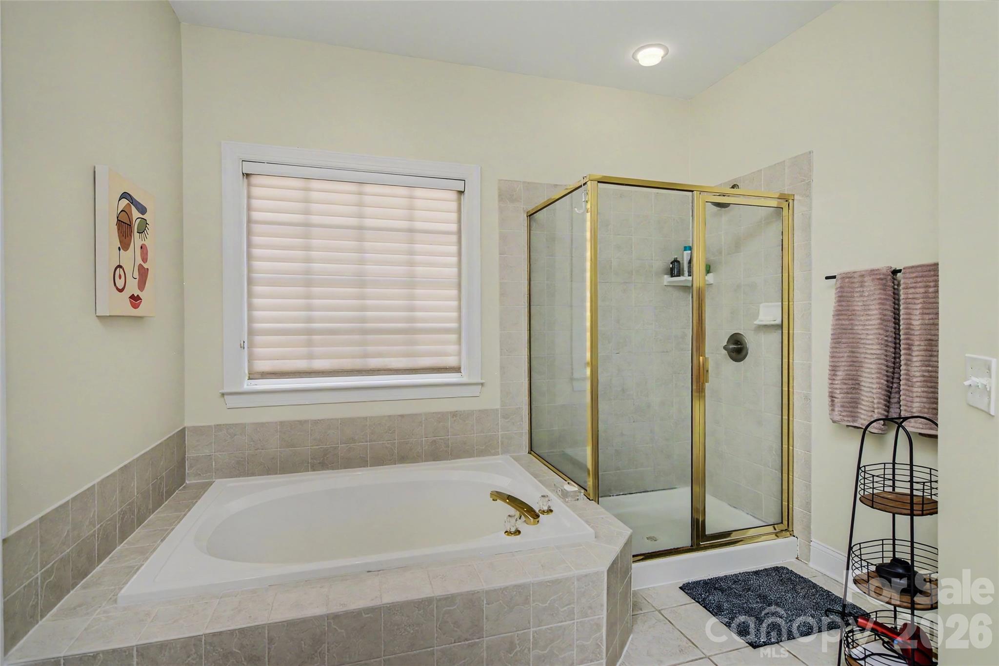 7203 Rea Croft Drive — Charlotte