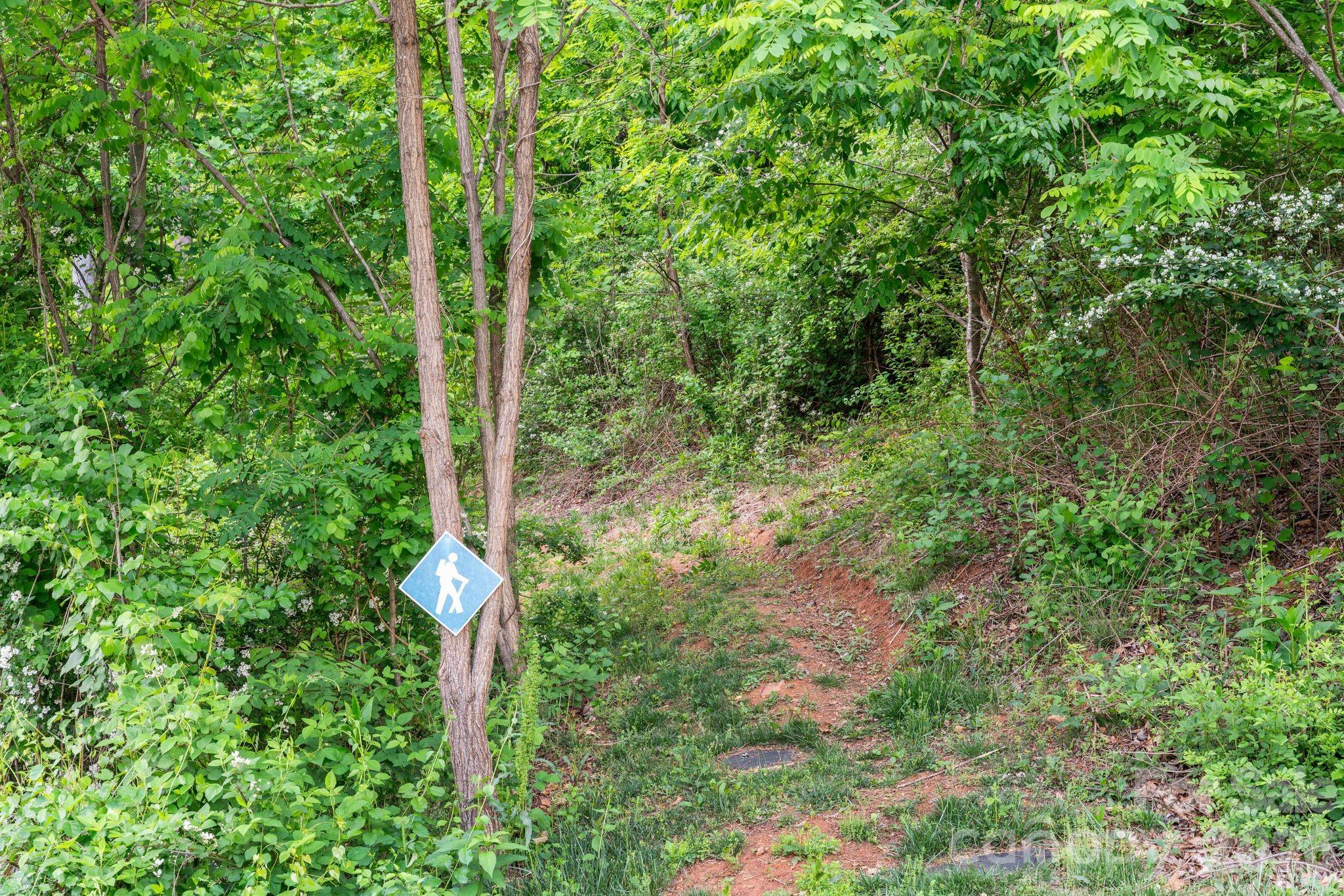 154 Wandering Oaks Way — Asheville