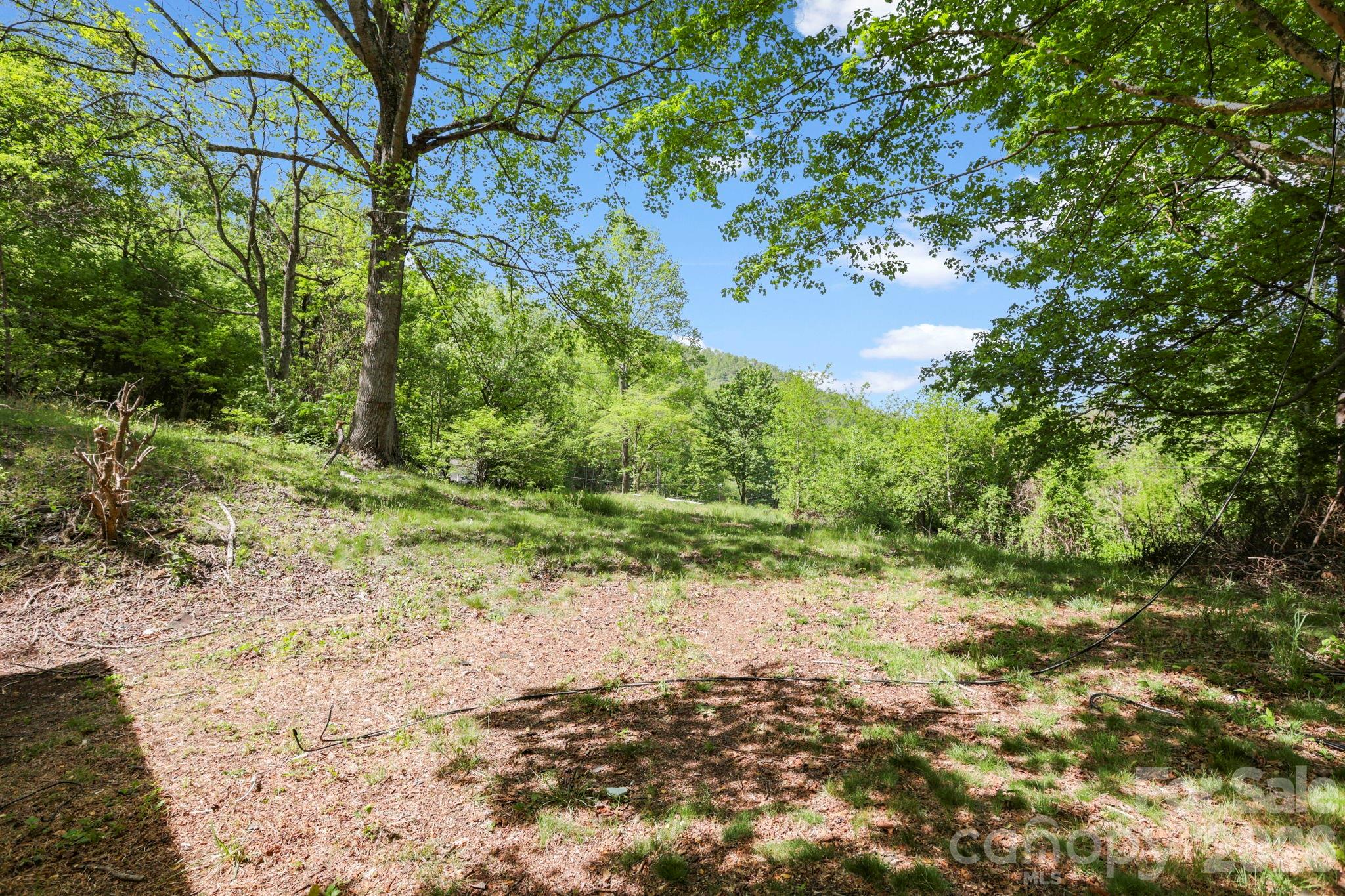 1007 N Fork Road — Barnardsville
