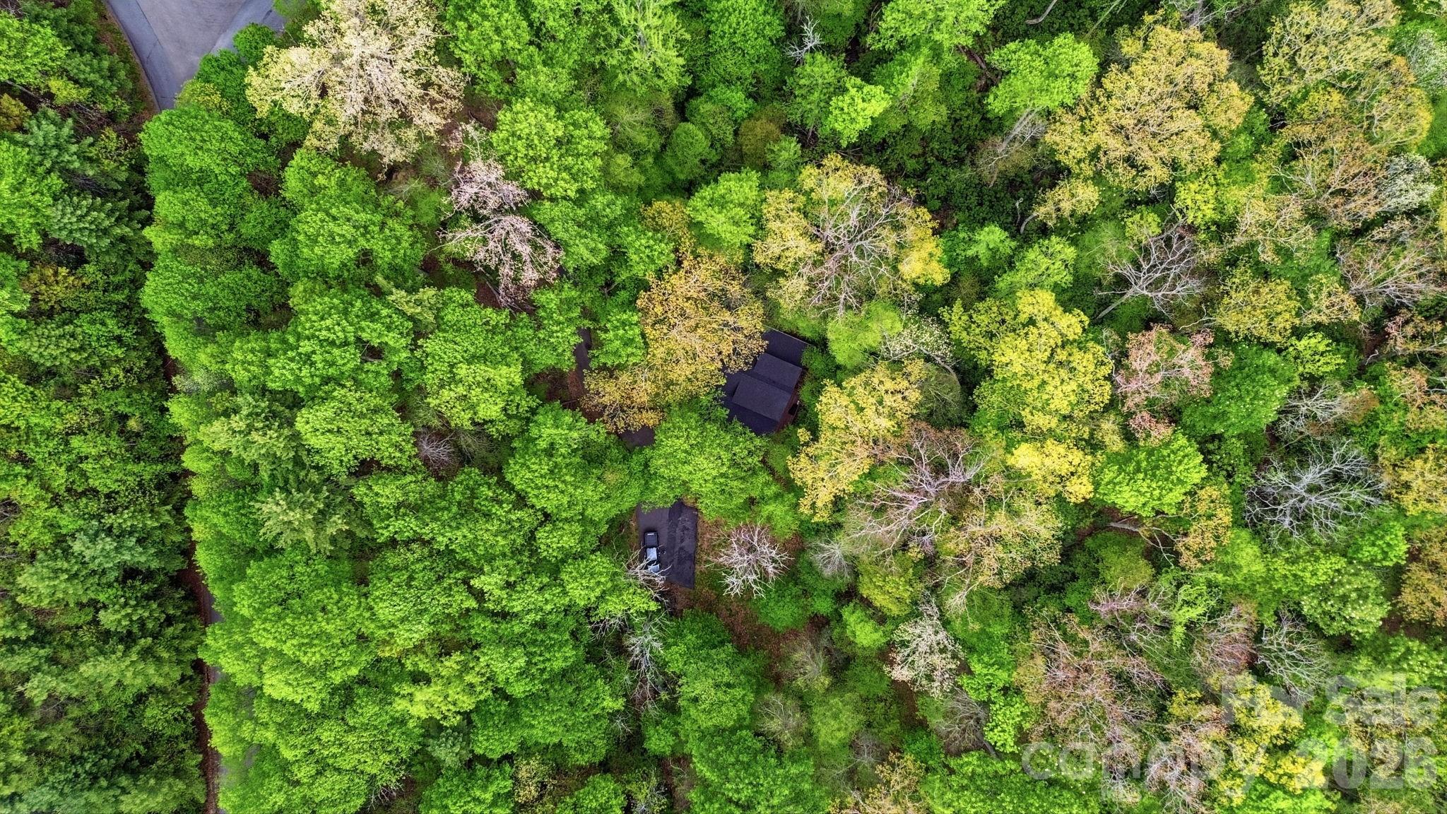 401 Saratoga None — Boone