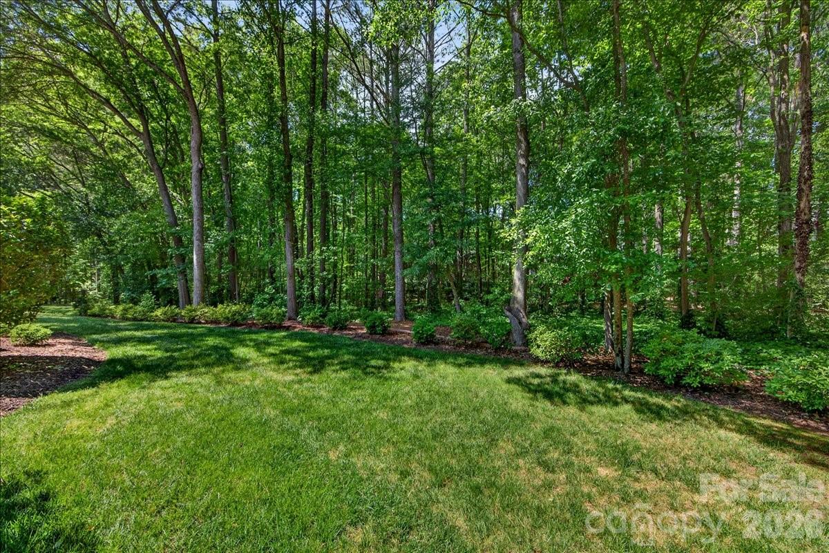 4365 Enchantment Cove Lane — Charlotte