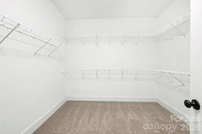 824 E 16th Street — Charlotte